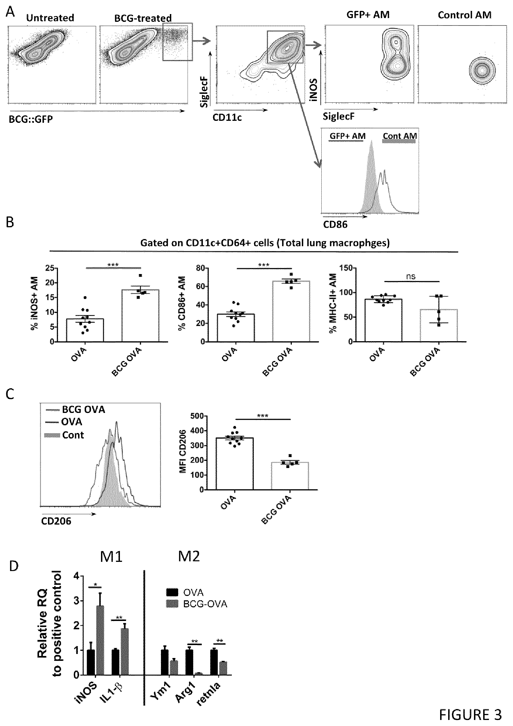 Patent US12551512 Figure 3 – Therapeutic efficacy by pulmonary delivery of live attenuated mycobacteria
