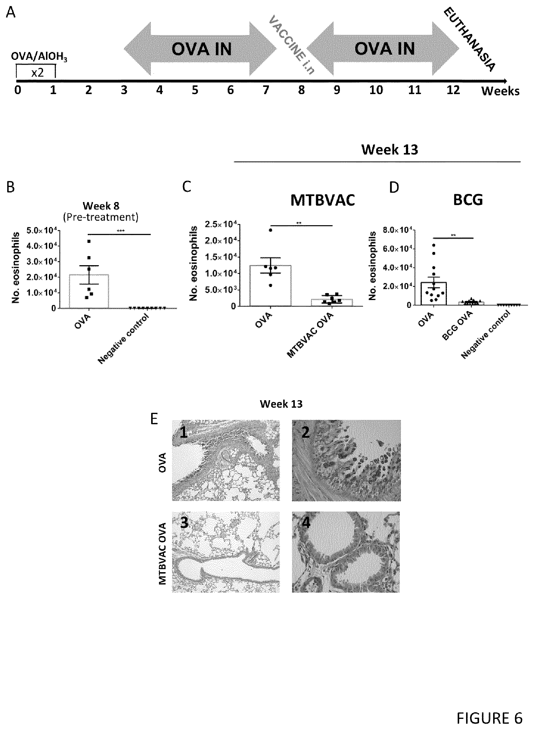 Patent US12551512 Figure 6 – Therapeutic efficacy by pulmonary delivery of live attenuated mycobacteria