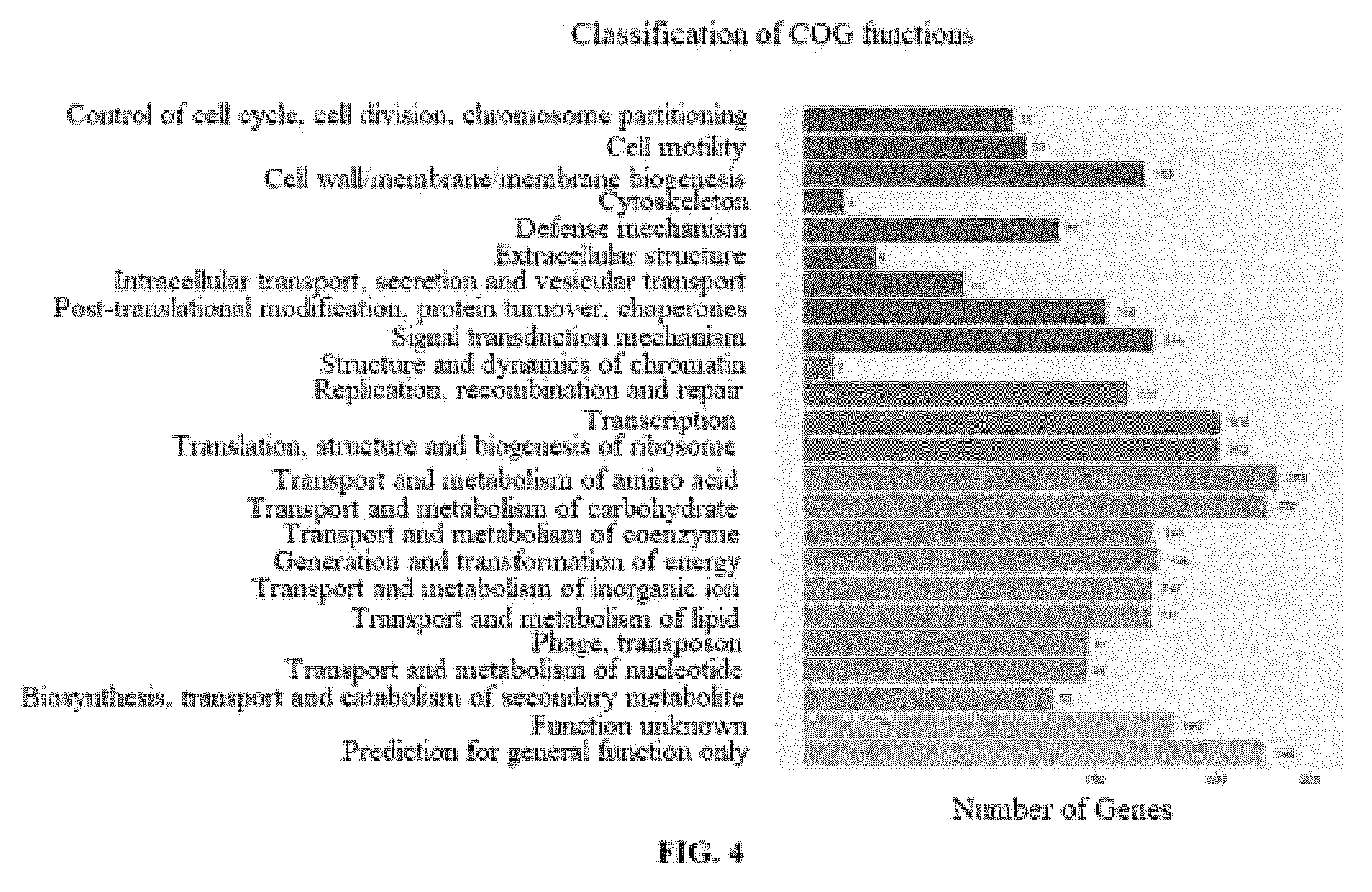 Patent US12551513 Figure 5 – Bacillus coagulans having blood glucose reduction efficacy, and application thereof