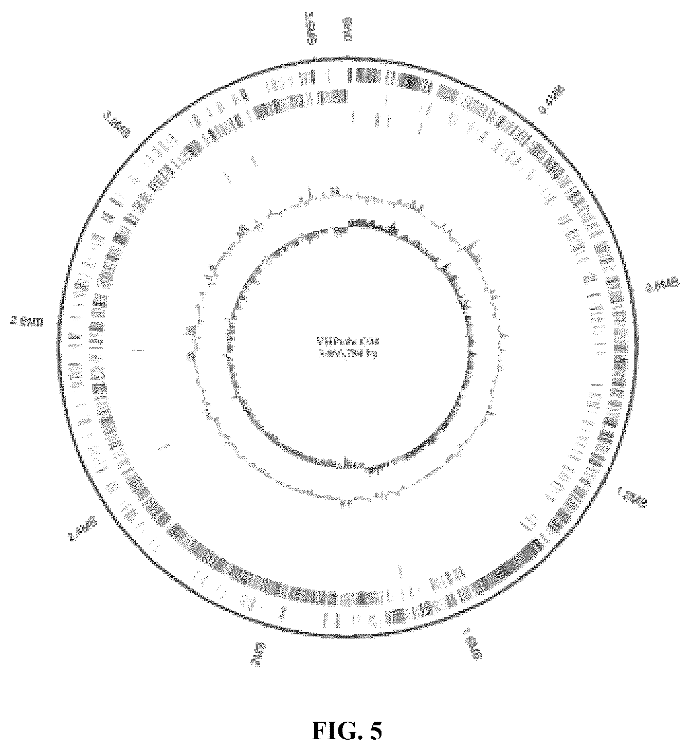 Patent US12551513 Figure 6 – Bacillus coagulans having blood glucose reduction efficacy, and application thereof