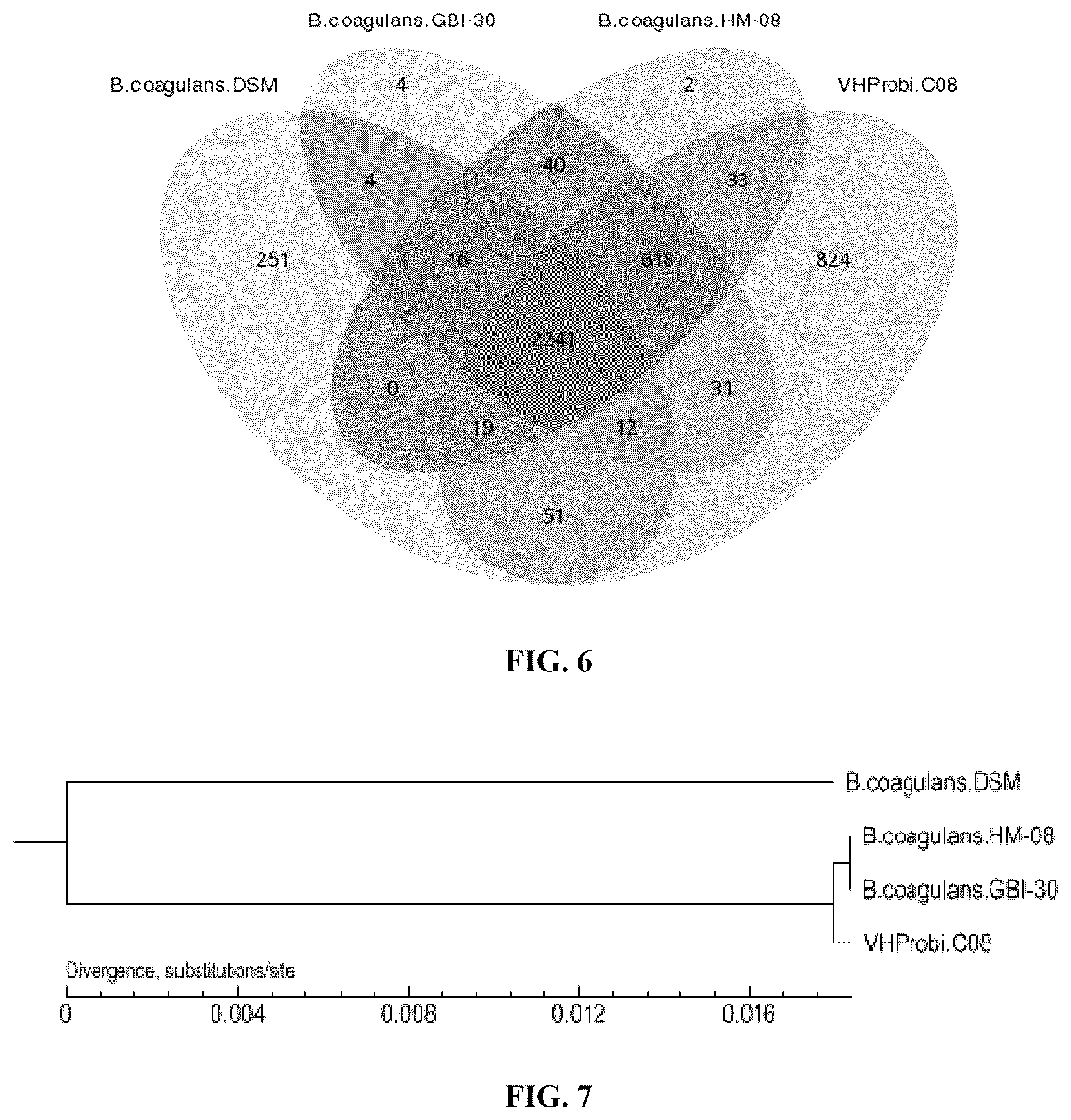 Patent US12551513 Figure 7 – Bacillus coagulans having blood glucose reduction efficacy, and application thereof