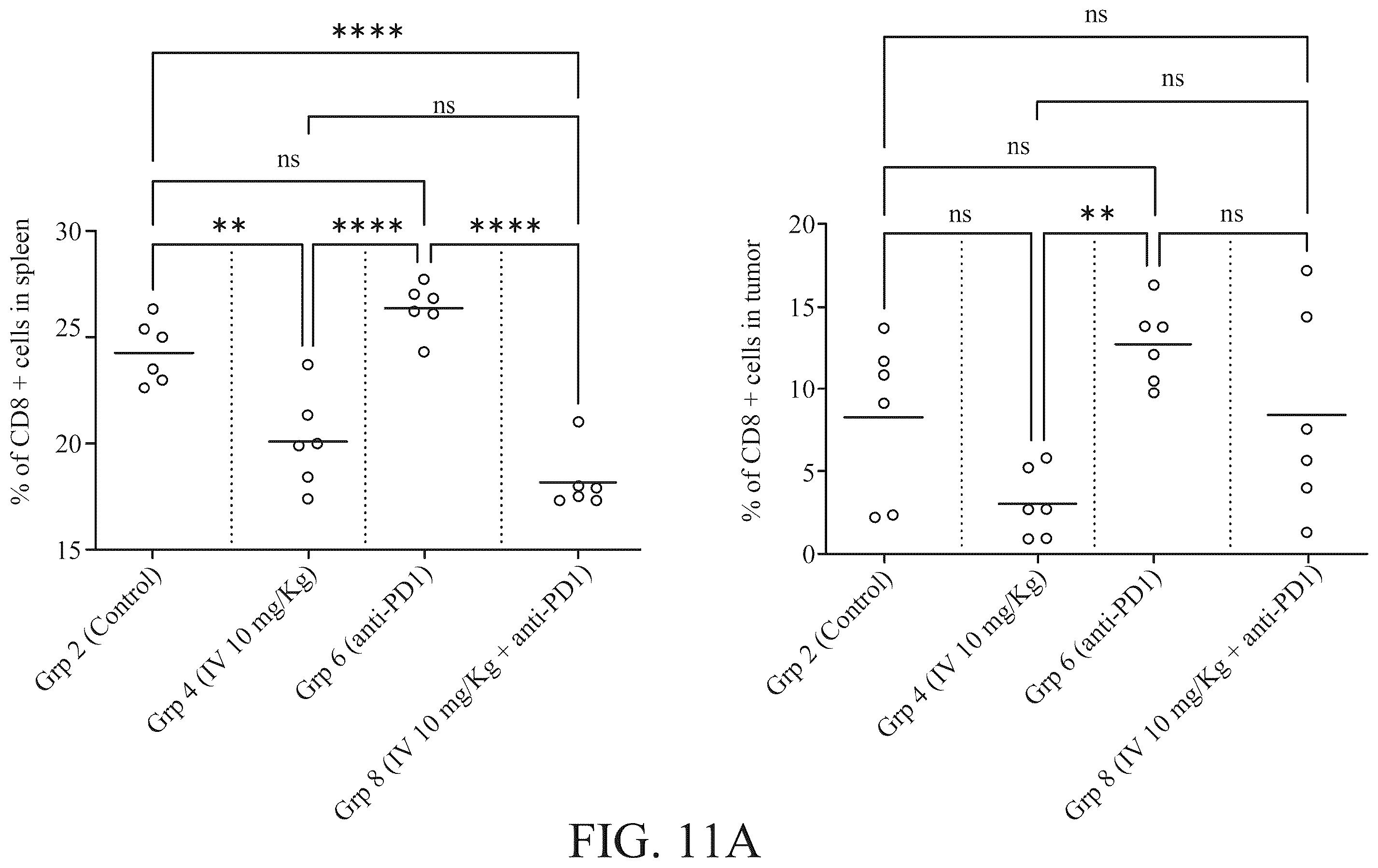 Patent US12551514 Figure 19 – Combination of non-viable cells of Streptococcus pyogenes and immune checkpoint inhibitor for the treatment of triple negative breast cancer and non-muscle invasive bladder cancer