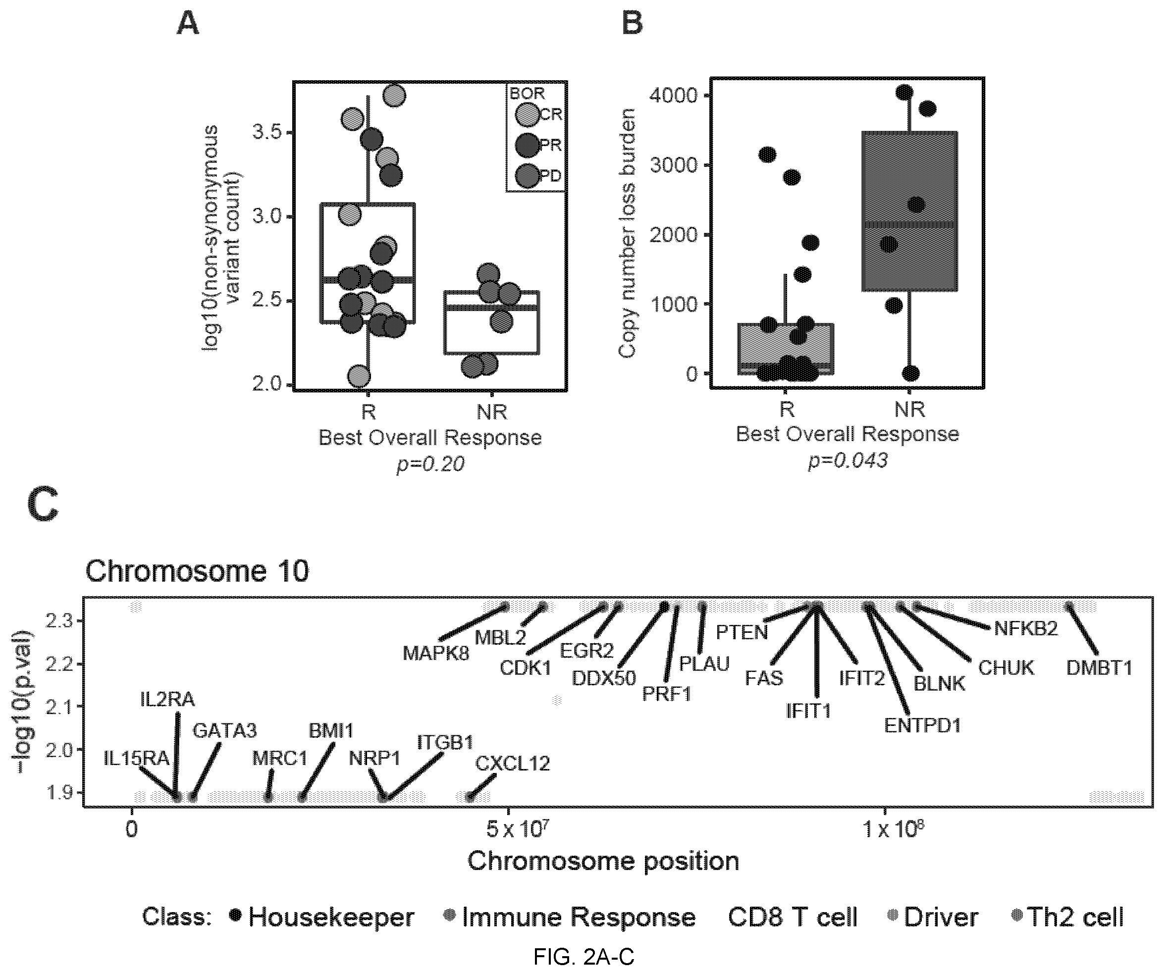 Patent US12551515 Figure 2 – Methods and compositions for treating cancer