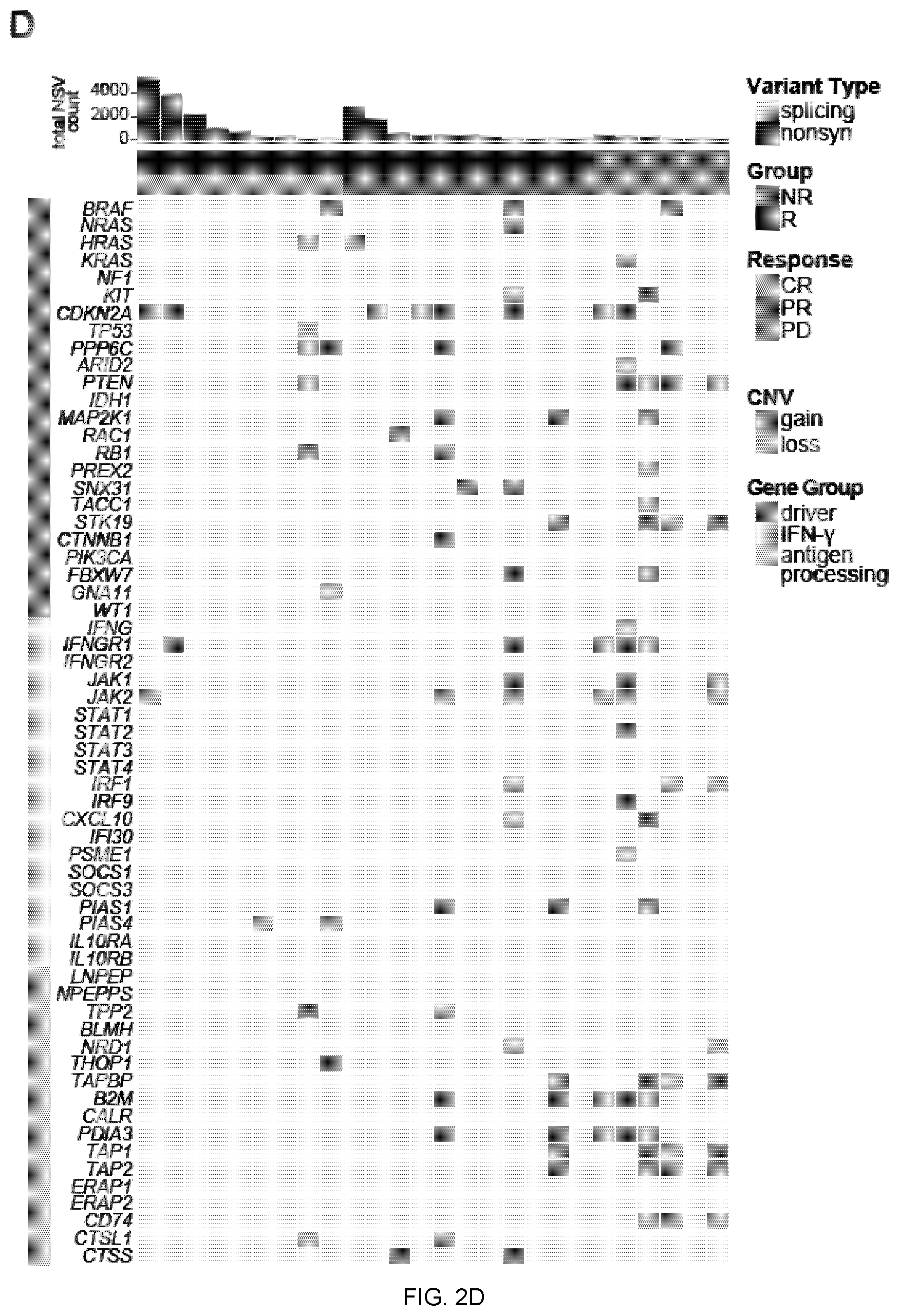 Patent US12551515 Figure 3 – Methods and compositions for treating cancer