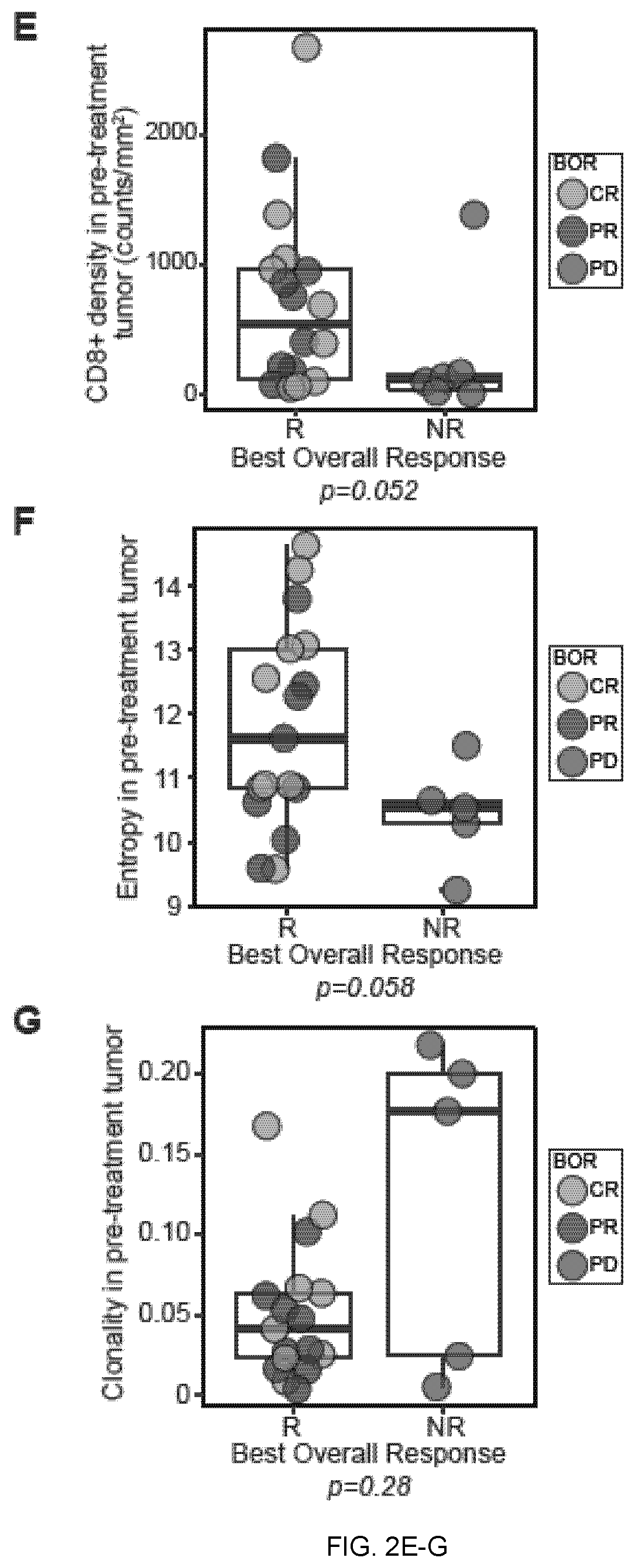 Patent US12551515 Figure 4 – Methods and compositions for treating cancer
