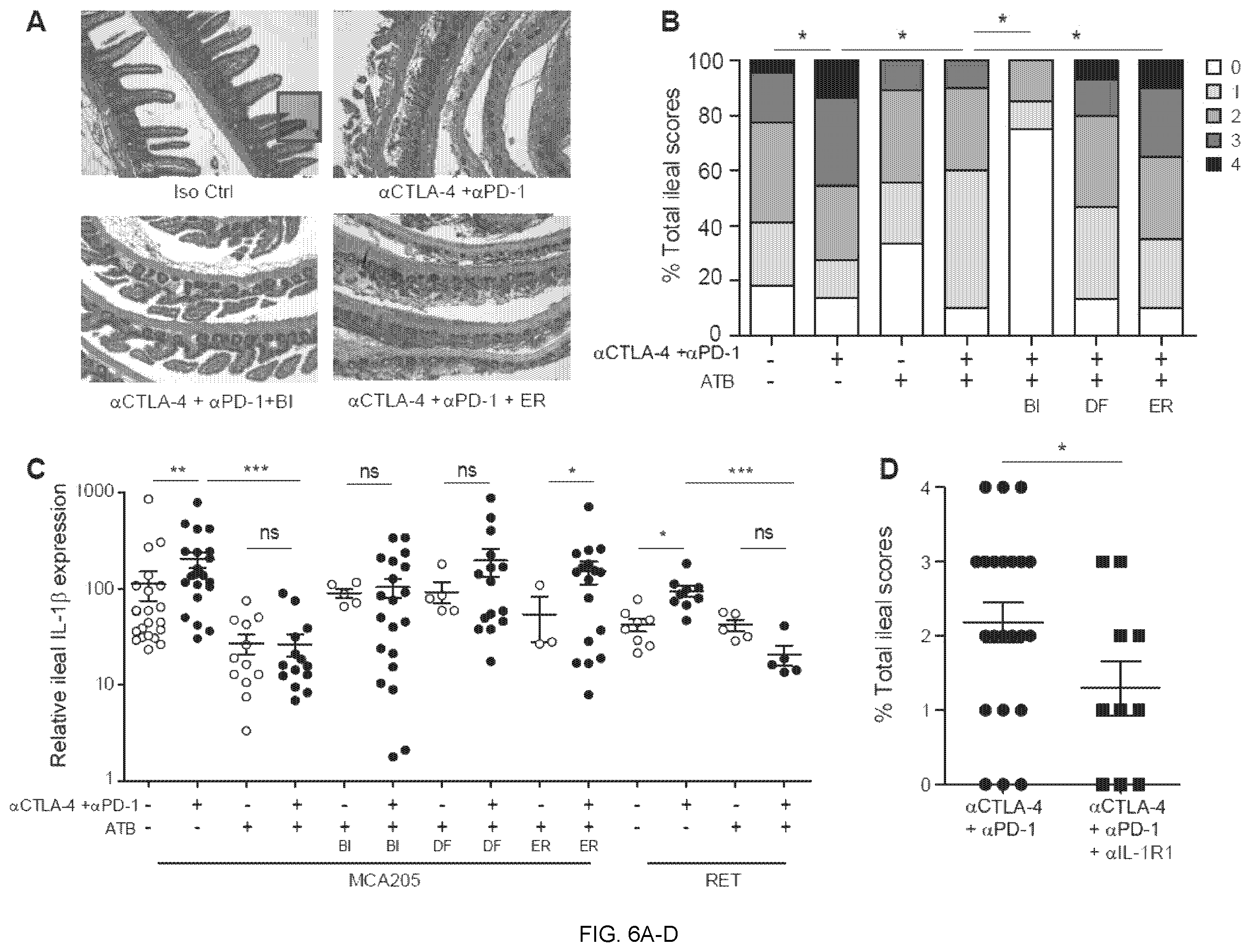 Patent US12551515 Figure 11 – Methods and compositions for treating cancer