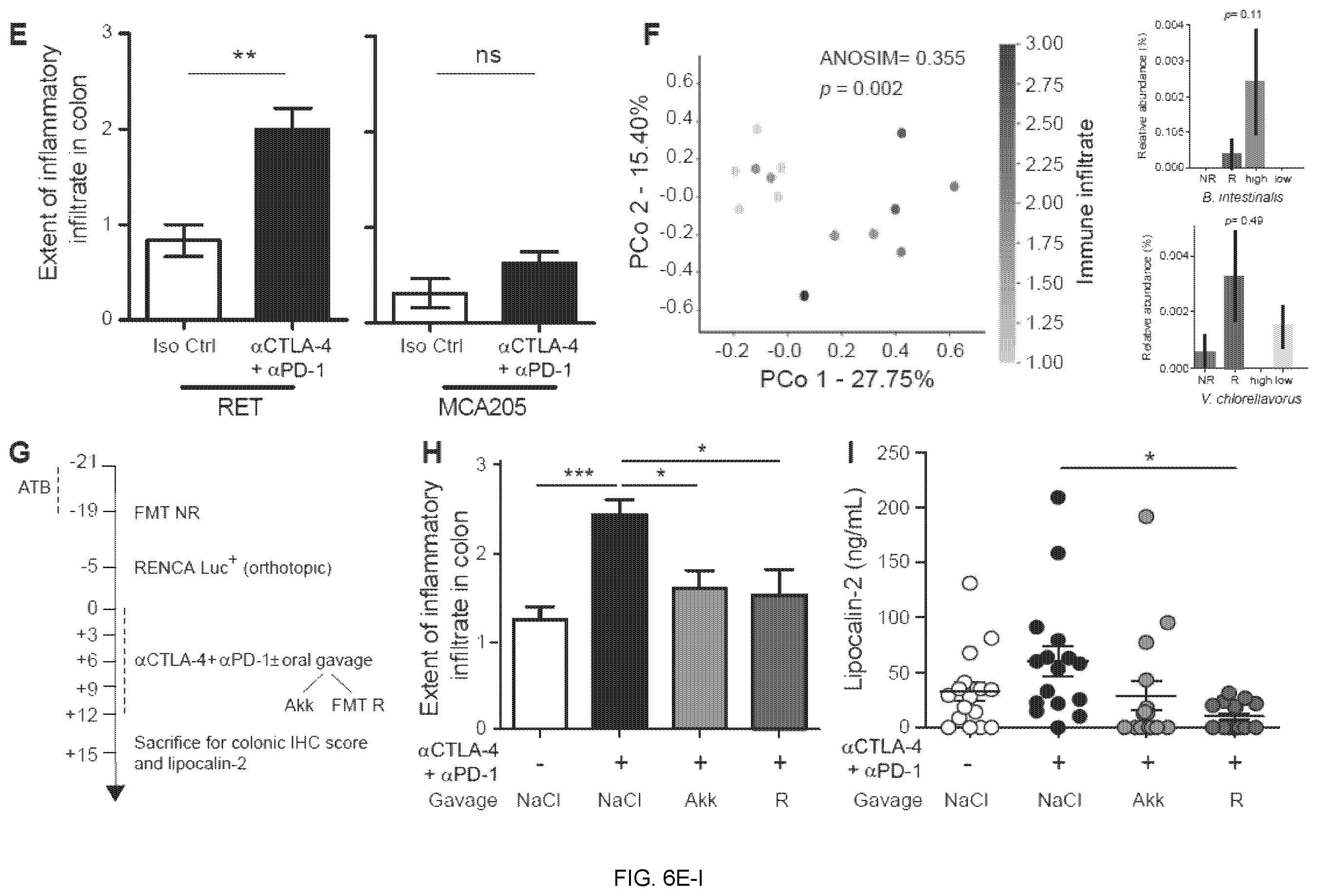 Patent US12551515 Figure 12 – Methods and compositions for treating cancer