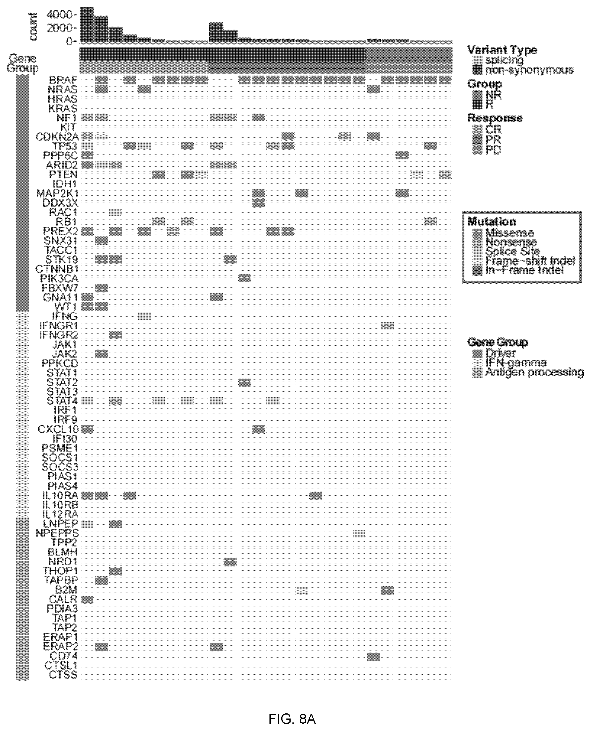 Patent US12551515 Figure 14 – Methods and compositions for treating cancer