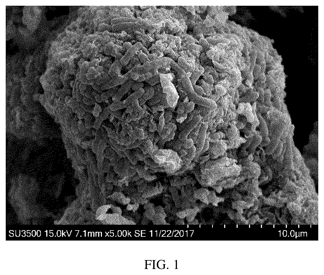 Patent US12551518 Figure 1 – Probiotic system and use thereof