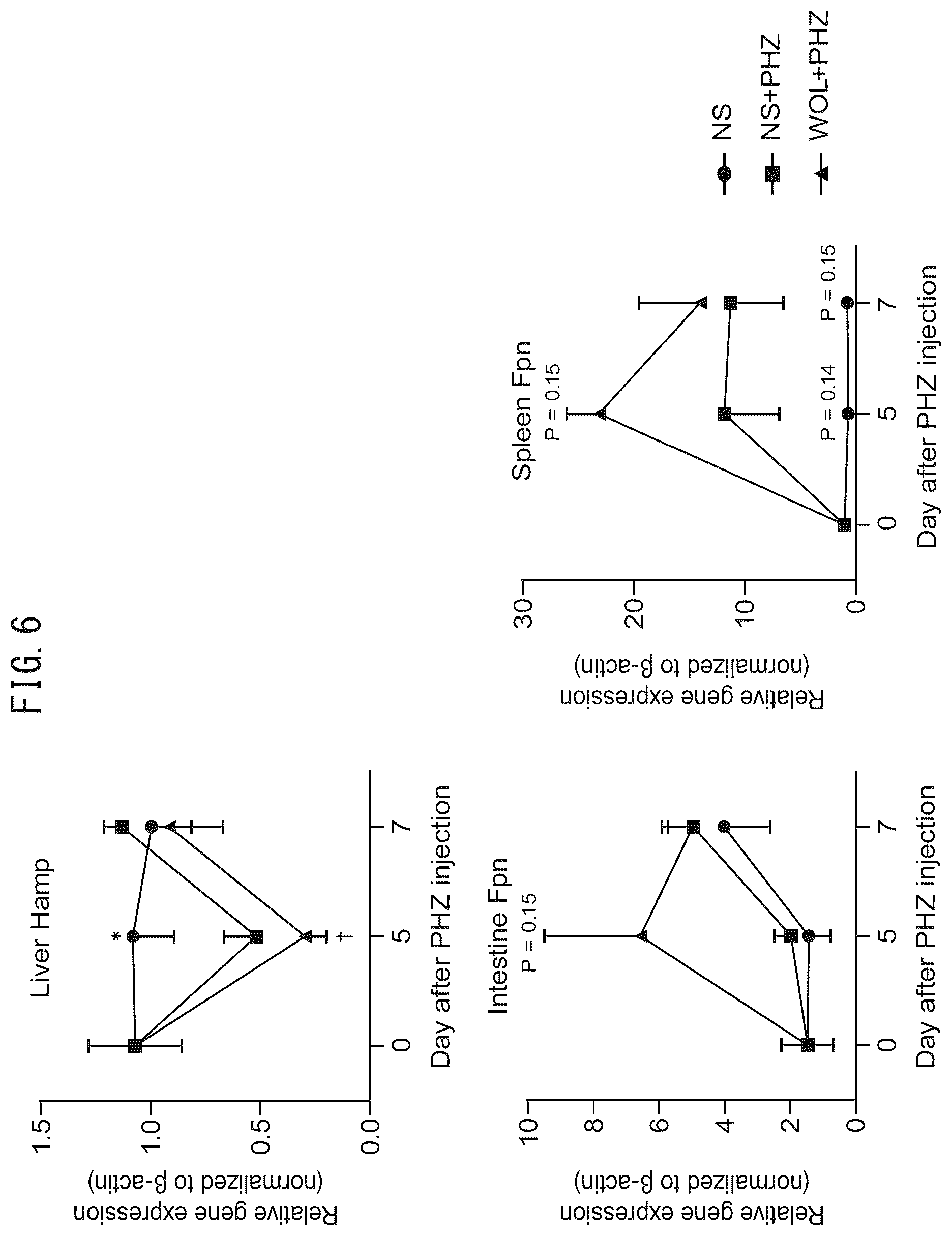 Patent US12551523 Figure 6 – HIF-1 activator