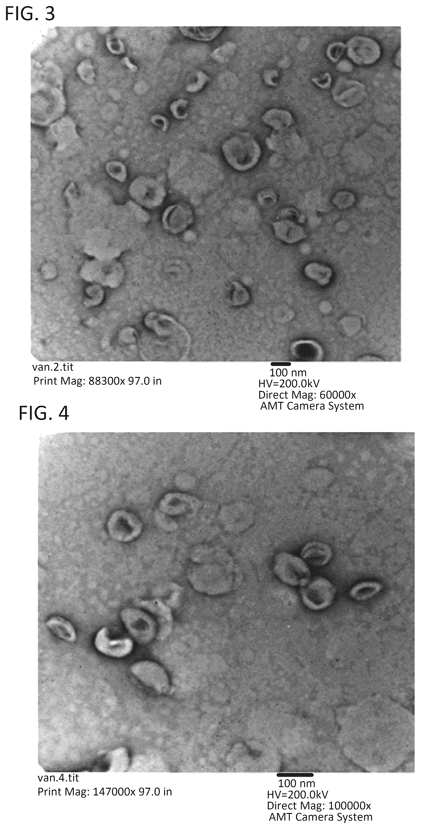 Patent US12551527 Figure 2 – Drug delivery systems for treatment of infections