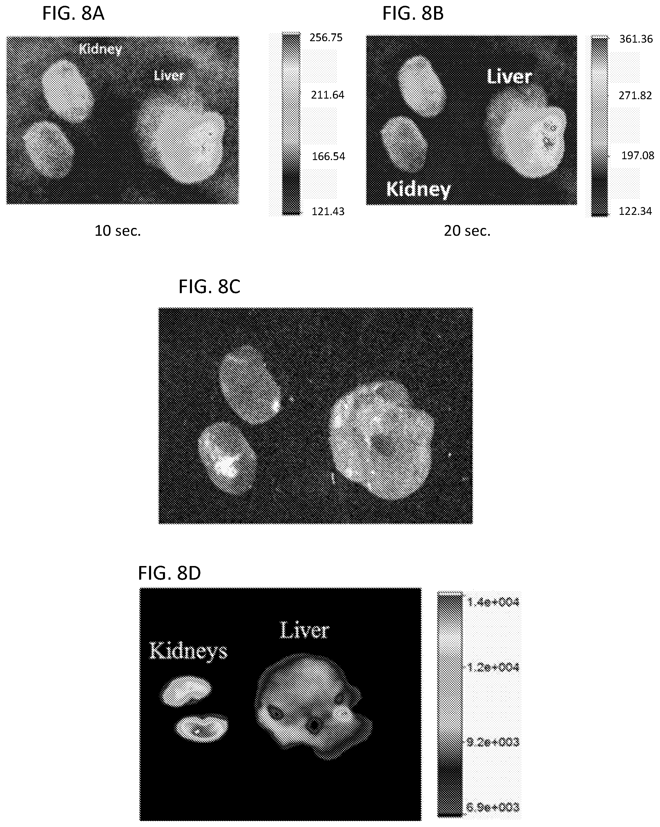 Patent US12551527 Figure 6 – Drug delivery systems for treatment of infections