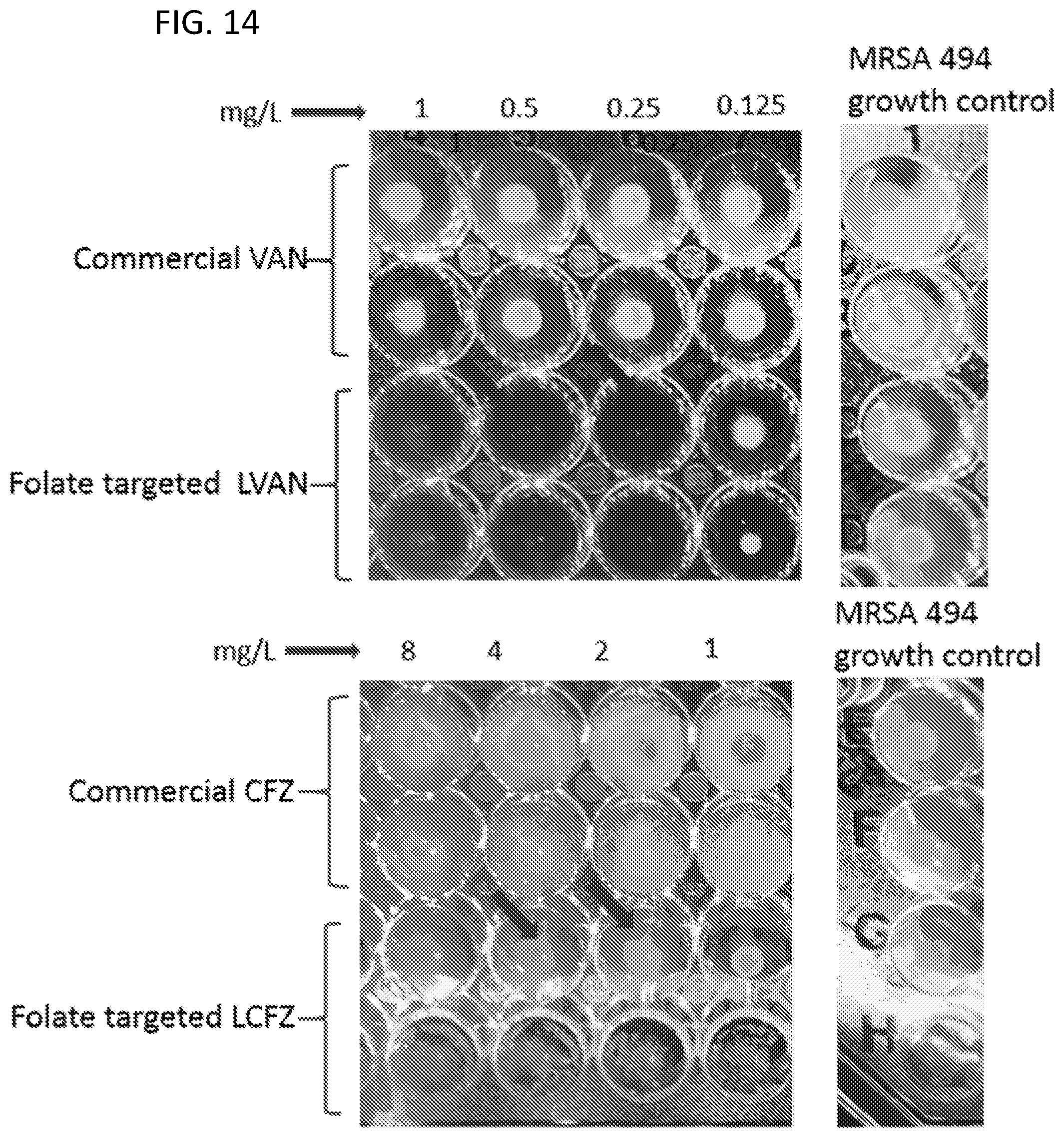 Patent US12551527 Figure 11 – Drug delivery systems for treatment of infections