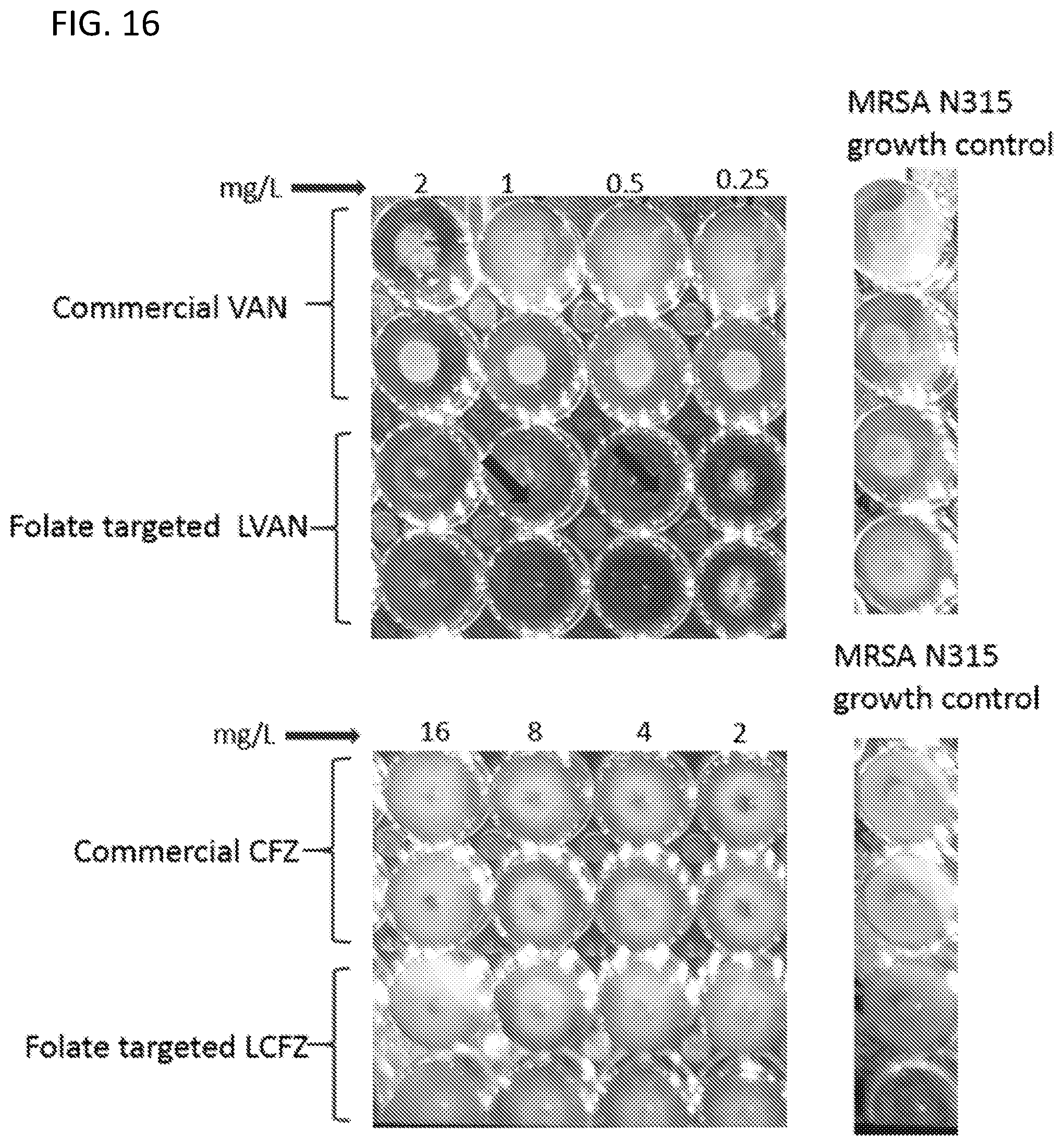 Patent US12551527 Figure 13 – Drug delivery systems for treatment of infections