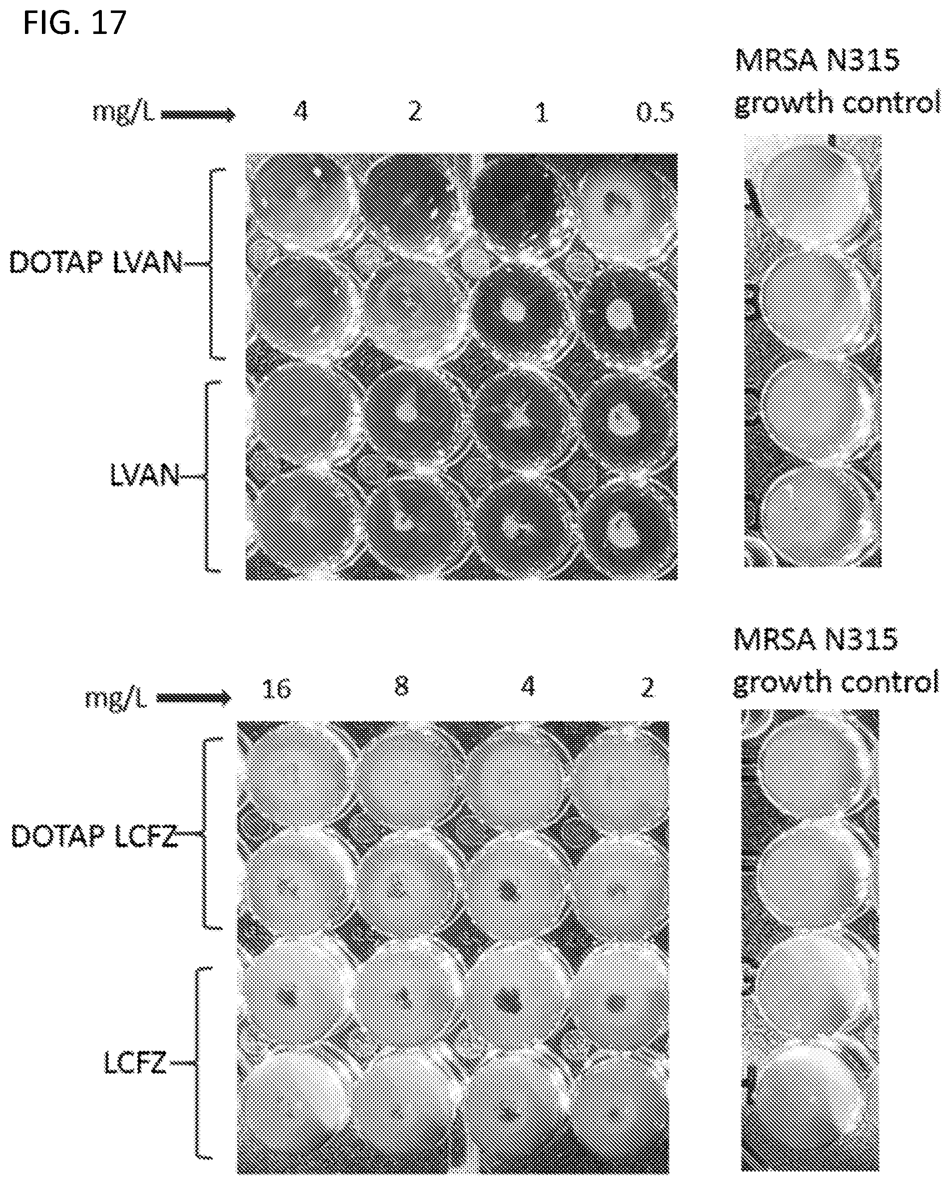 Patent US12551527 Figure 14 – Drug delivery systems for treatment of infections