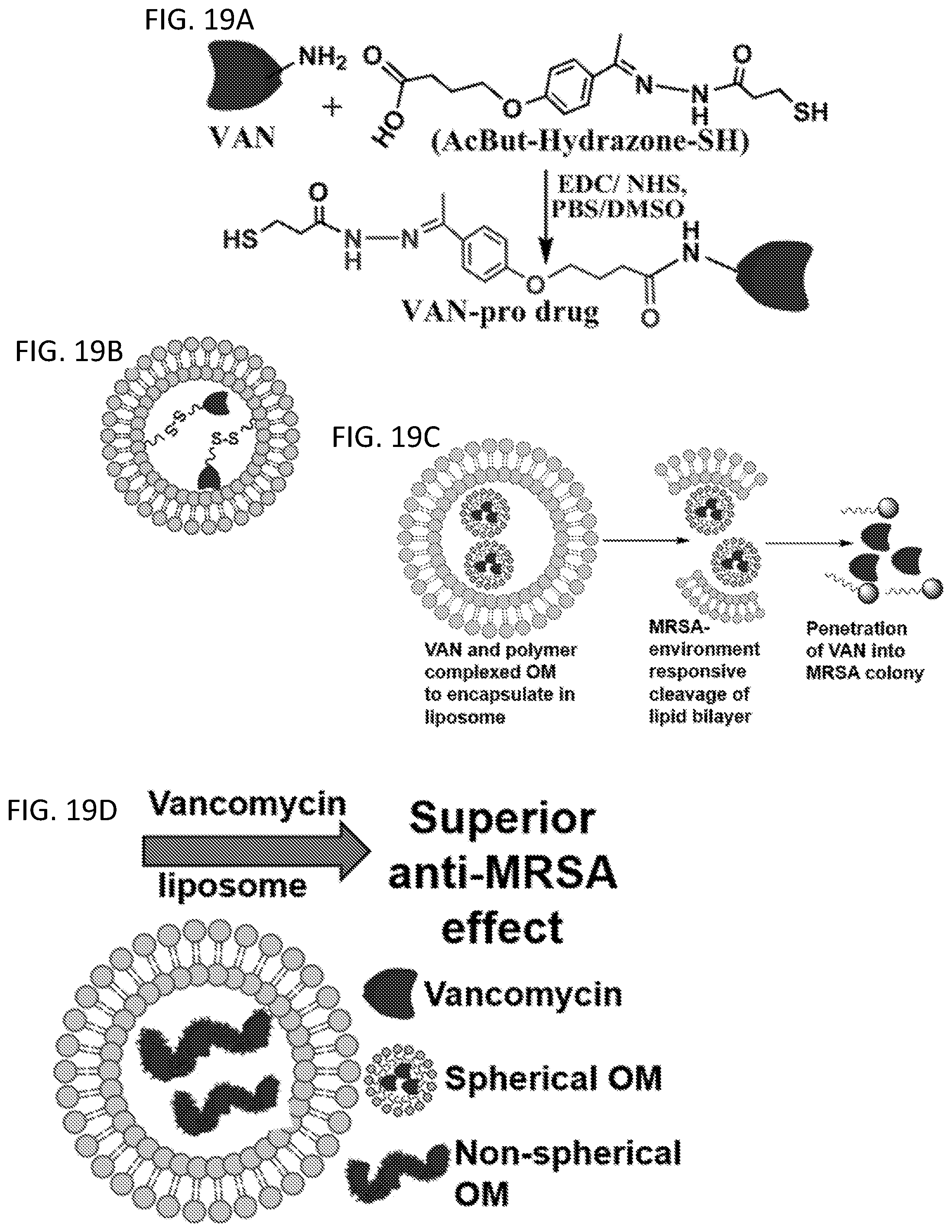 Patent US12551527 Figure 16 – Drug delivery systems for treatment of infections