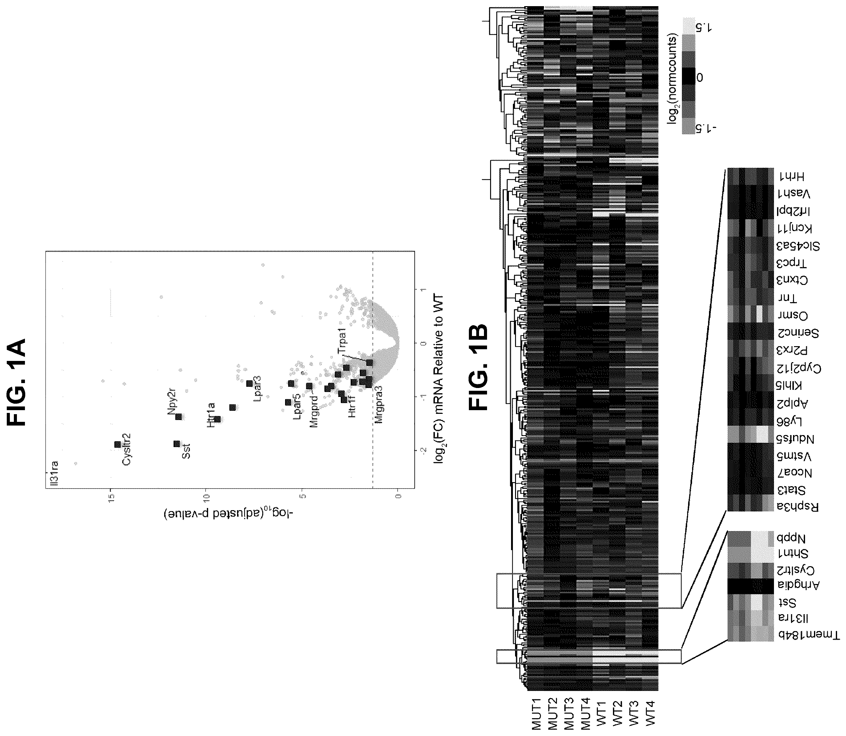 Patent US12551528 — Compounds and methods for treating or reducing pruritus — Figure 1