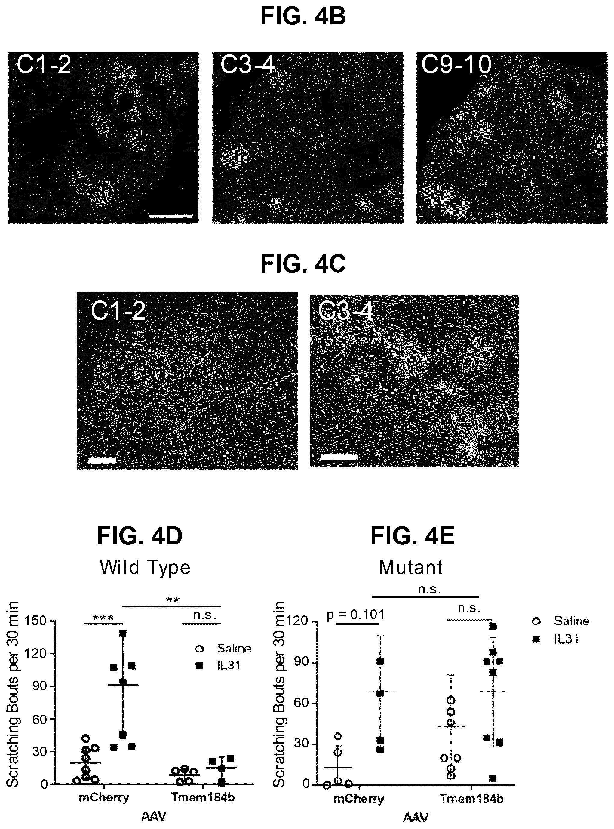Patent US12551528 Figure 6 – Compounds and methods for treating or reducing pruritus