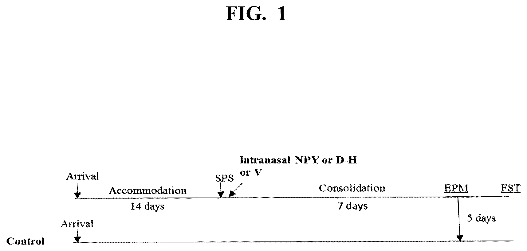 Patent US12551533 Figure 1 – Intranasal neuropeptides for use in stress-related impairments