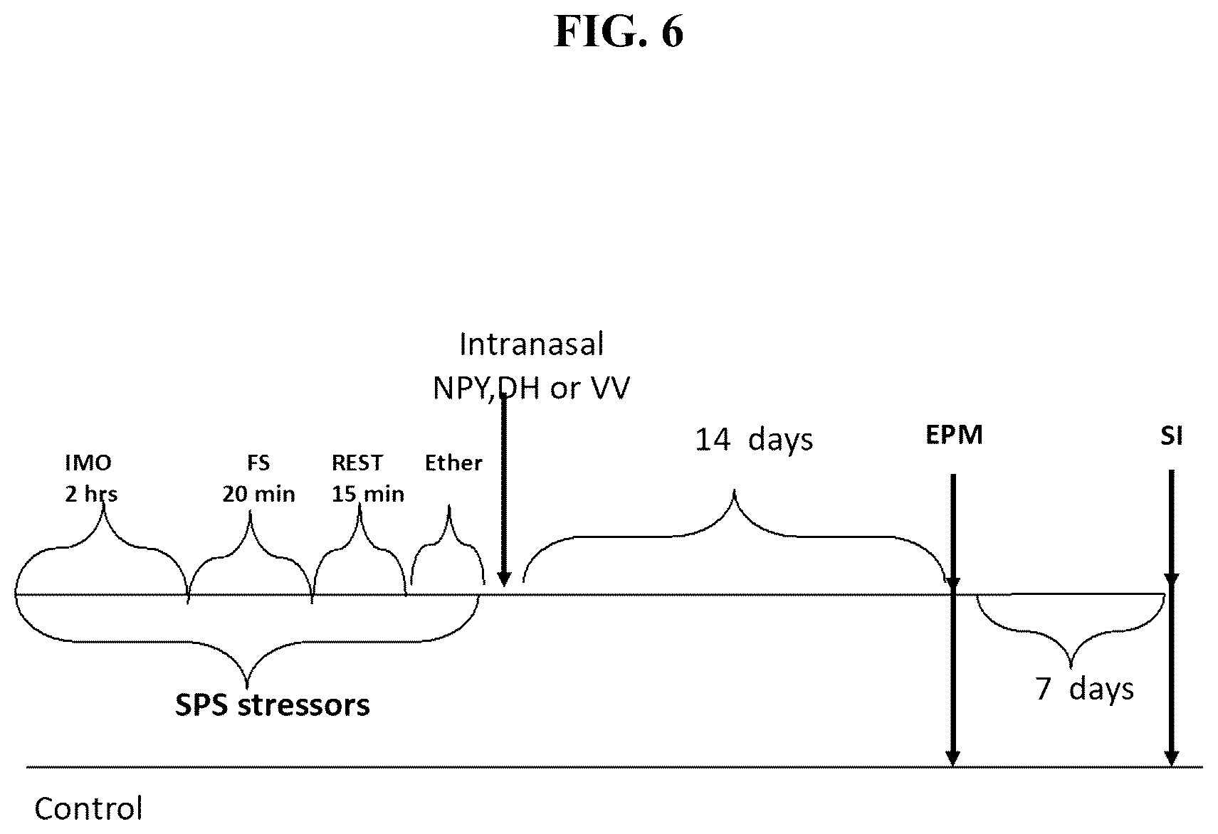 Patent US12551533 Figure 7 – Intranasal neuropeptides for use in stress-related impairments