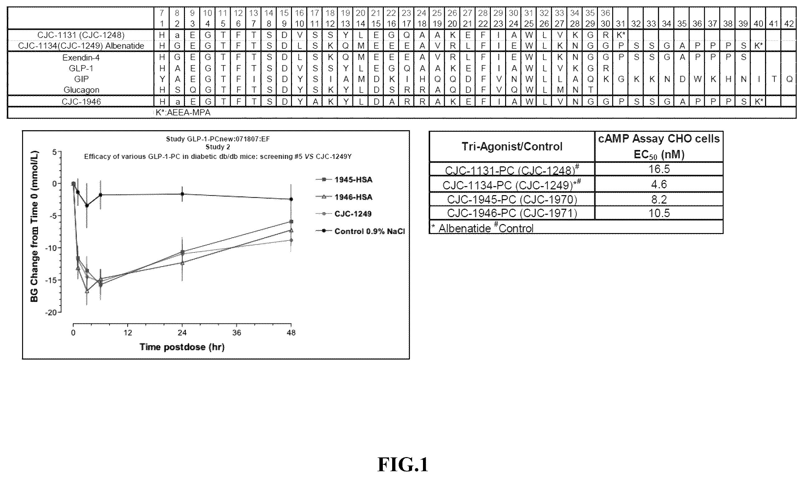 Patent US12551541 Figure 1 – Albumin bound macromolecule tri-agonist activating GLP 1/GIP/glucagon receptors and methods therefor