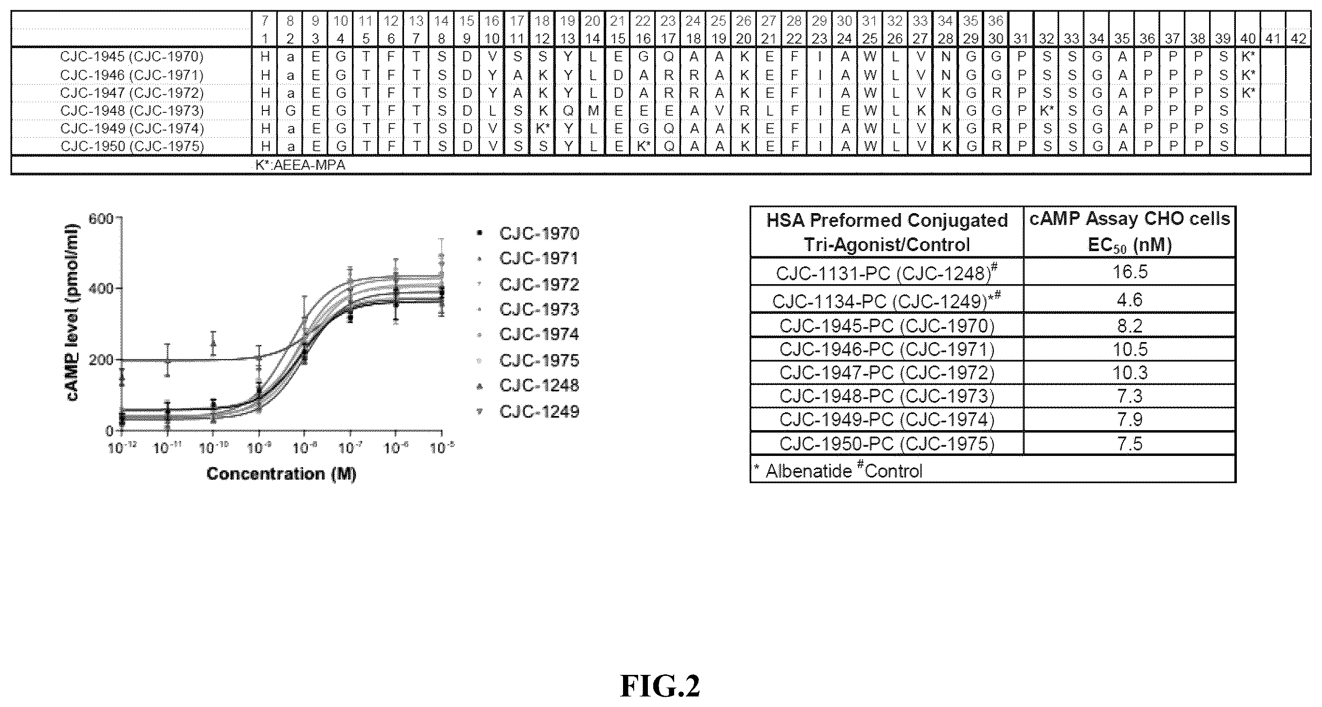 Patent US12551541 Figure 2 – Albumin bound macromolecule tri-agonist activating GLP 1/GIP/glucagon receptors and methods therefor