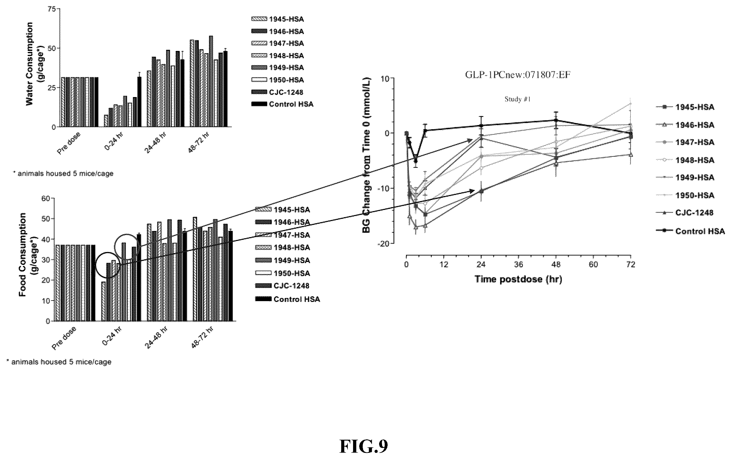 Patent US12551541 Figure 9 – Albumin bound macromolecule tri-agonist activating GLP 1/GIP/glucagon receptors and methods therefor