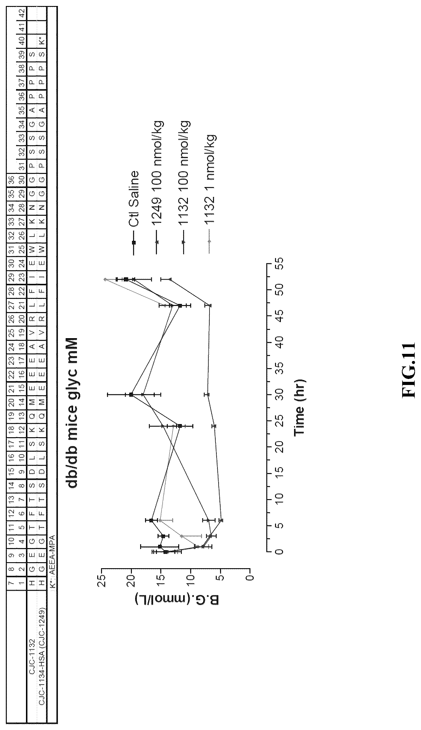 Patent US12551541 Figure 11 – Albumin bound macromolecule tri-agonist activating GLP 1/GIP/glucagon receptors and methods therefor