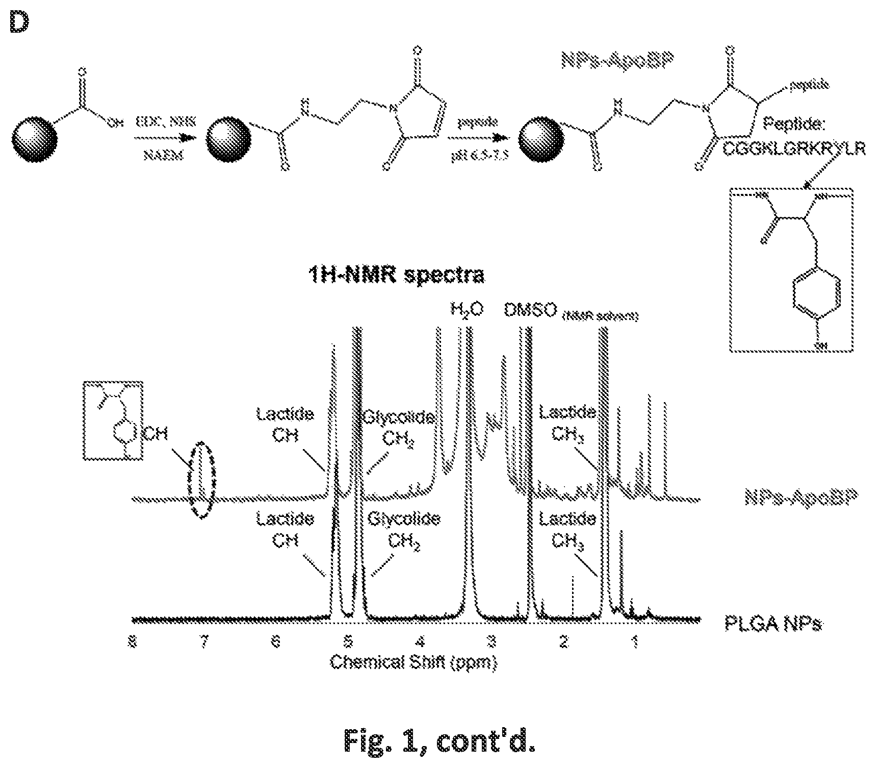 Patent US12551542 Figure 3 – Polymeric nanoparticles that target liver sinusoidal endothelial cells to induce antigen-specific immune tolerance