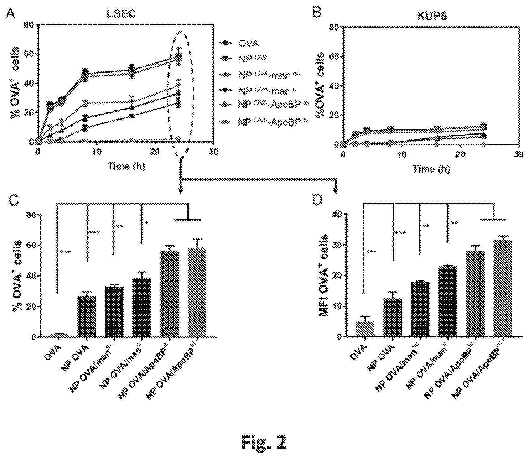 Patent US12551542 Figure 4 – Polymeric nanoparticles that target liver sinusoidal endothelial cells to induce antigen-specific immune tolerance