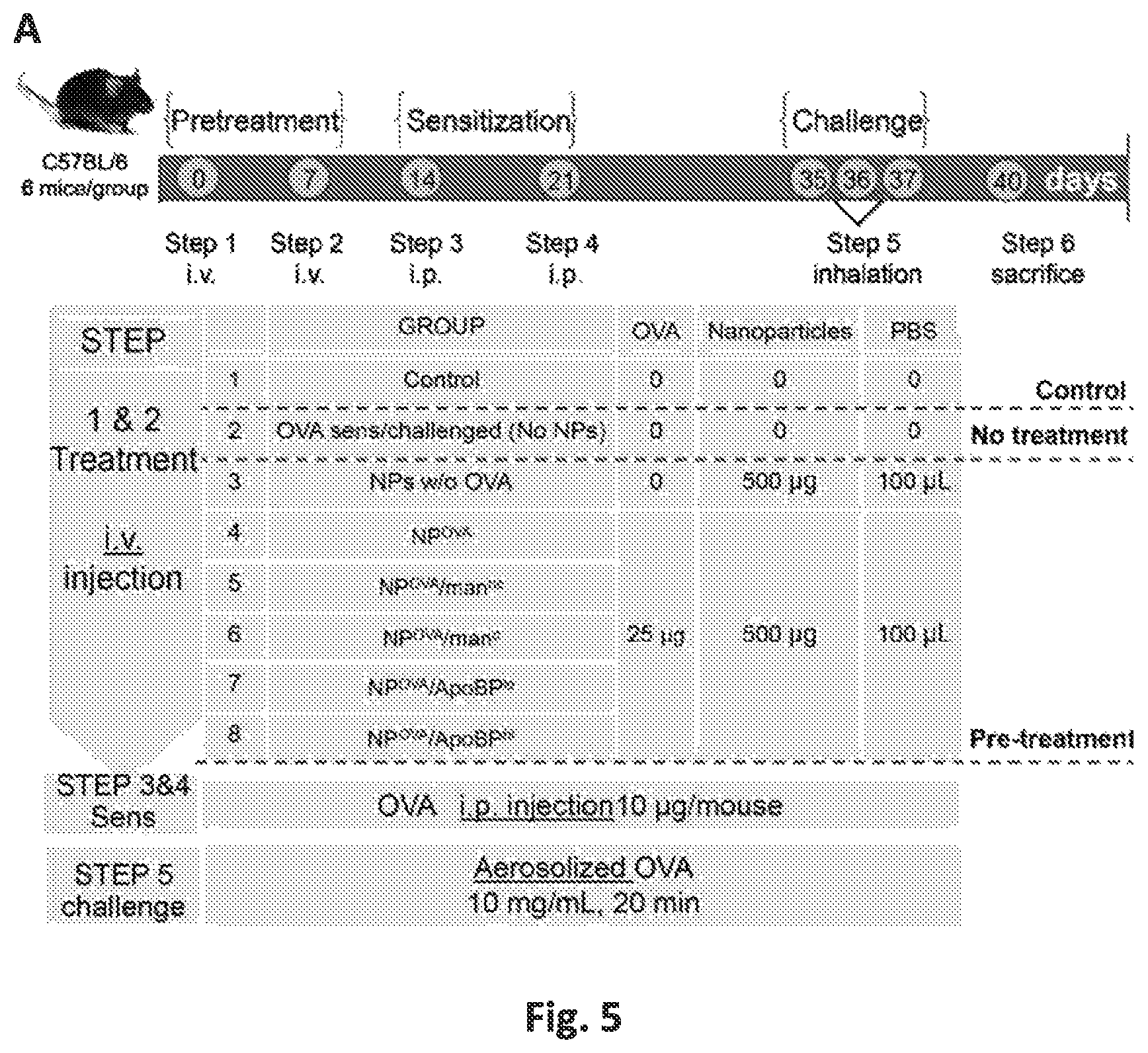 Patent US12551542 Figure 9 – Polymeric nanoparticles that target liver sinusoidal endothelial cells to induce antigen-specific immune tolerance