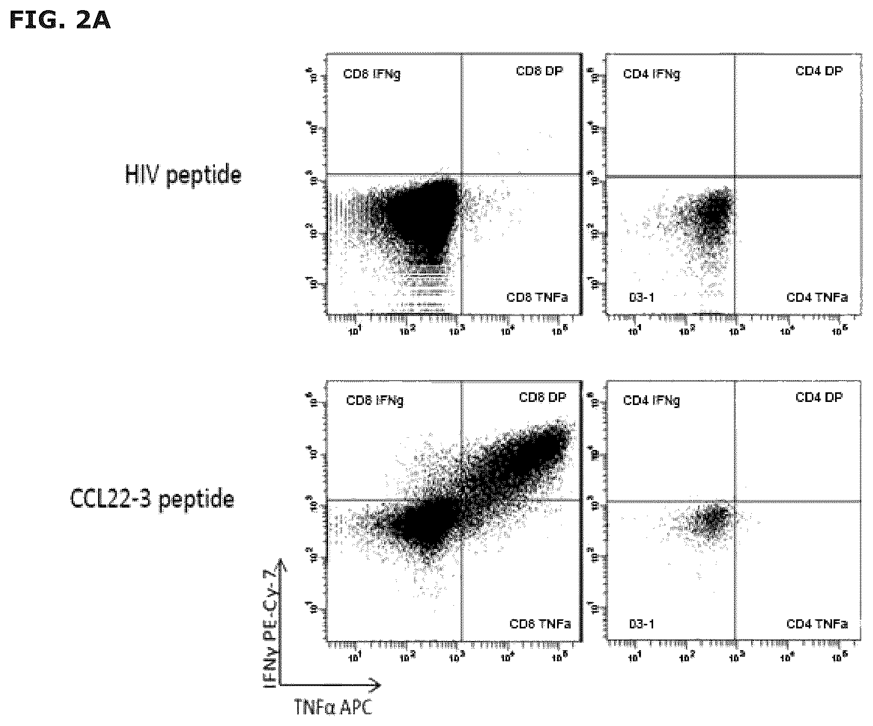 Patent US12551543 Figure 2 – Vaccine compositions comprising C—C motif chemokine 22 (CCL22) or fragments thereof