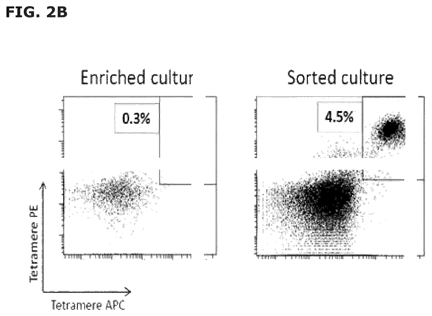 Patent US12551543 Figure 3 – Vaccine compositions comprising C—C motif chemokine 22 (CCL22) or fragments thereof