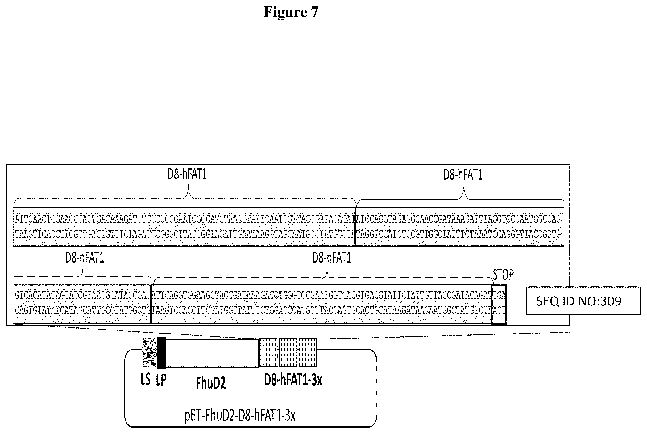 Patent US12551544 Figure 8 – Method for the production of outer membrane vesicles and immunogenic compositions thereof