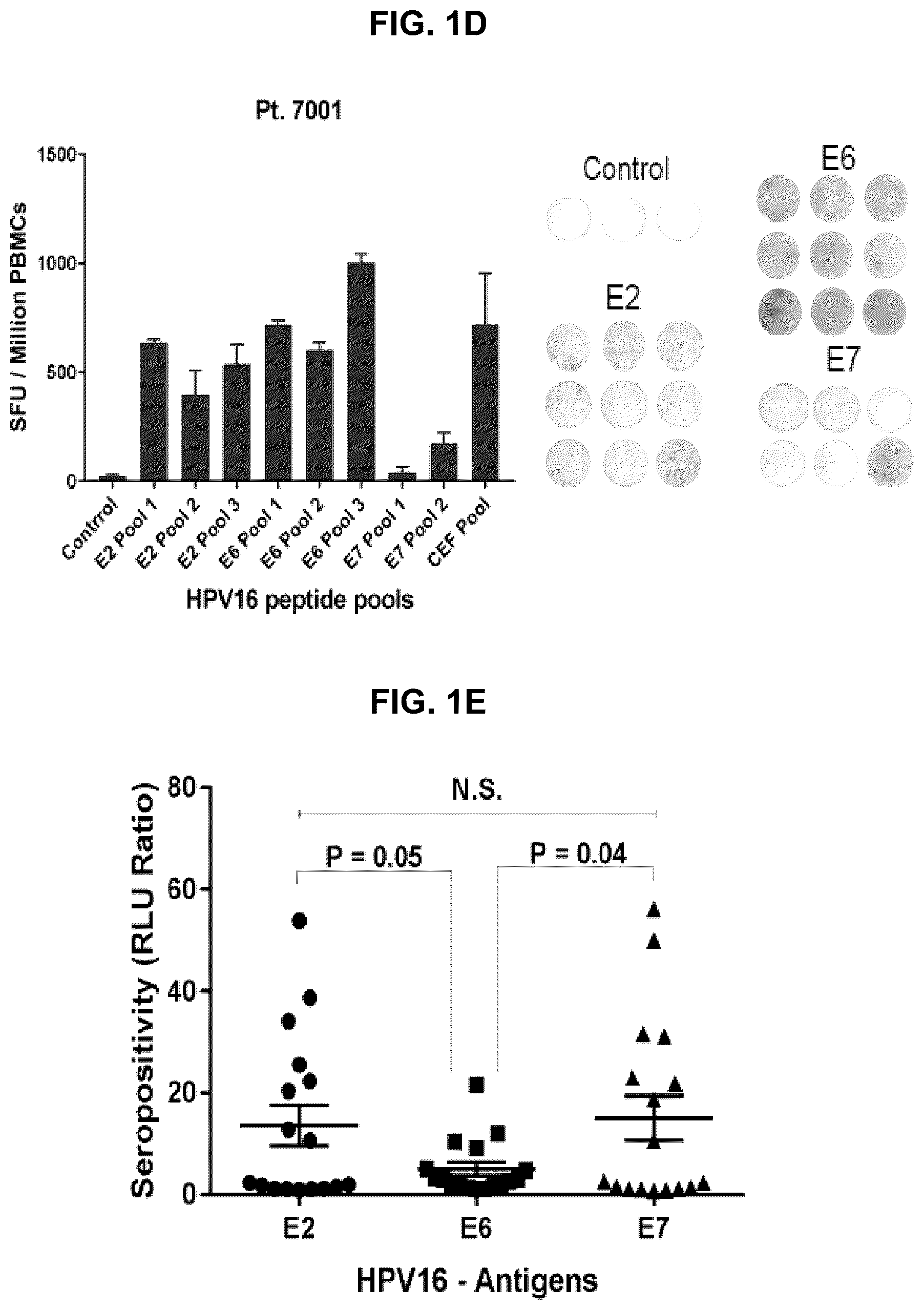 Patent US12551546 Figure 3 – Materials and methods relating to immunogenic epitopes from human papilloma virus