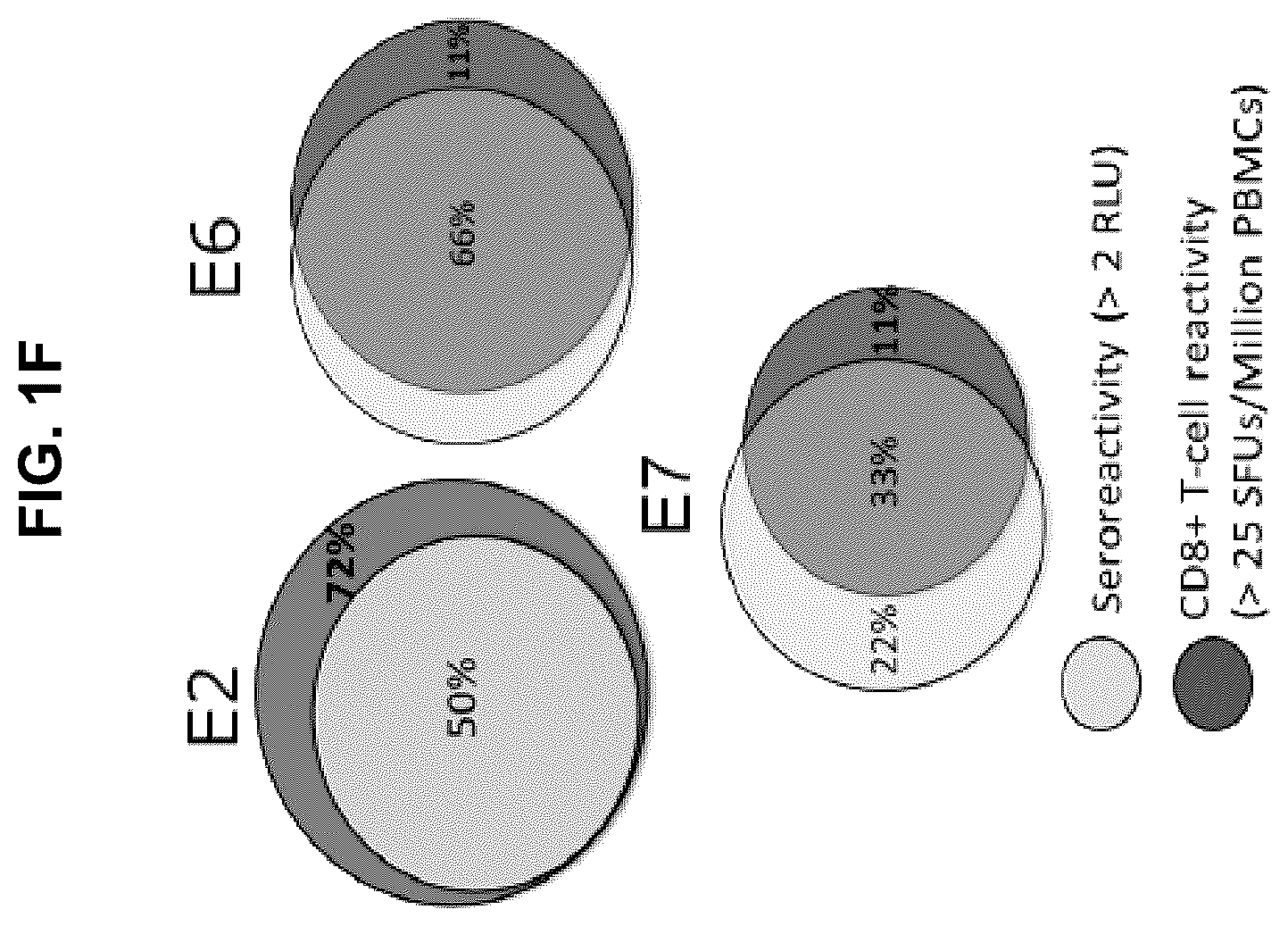 Patent US12551546 Figure 4 – Materials and methods relating to immunogenic epitopes from human papilloma virus