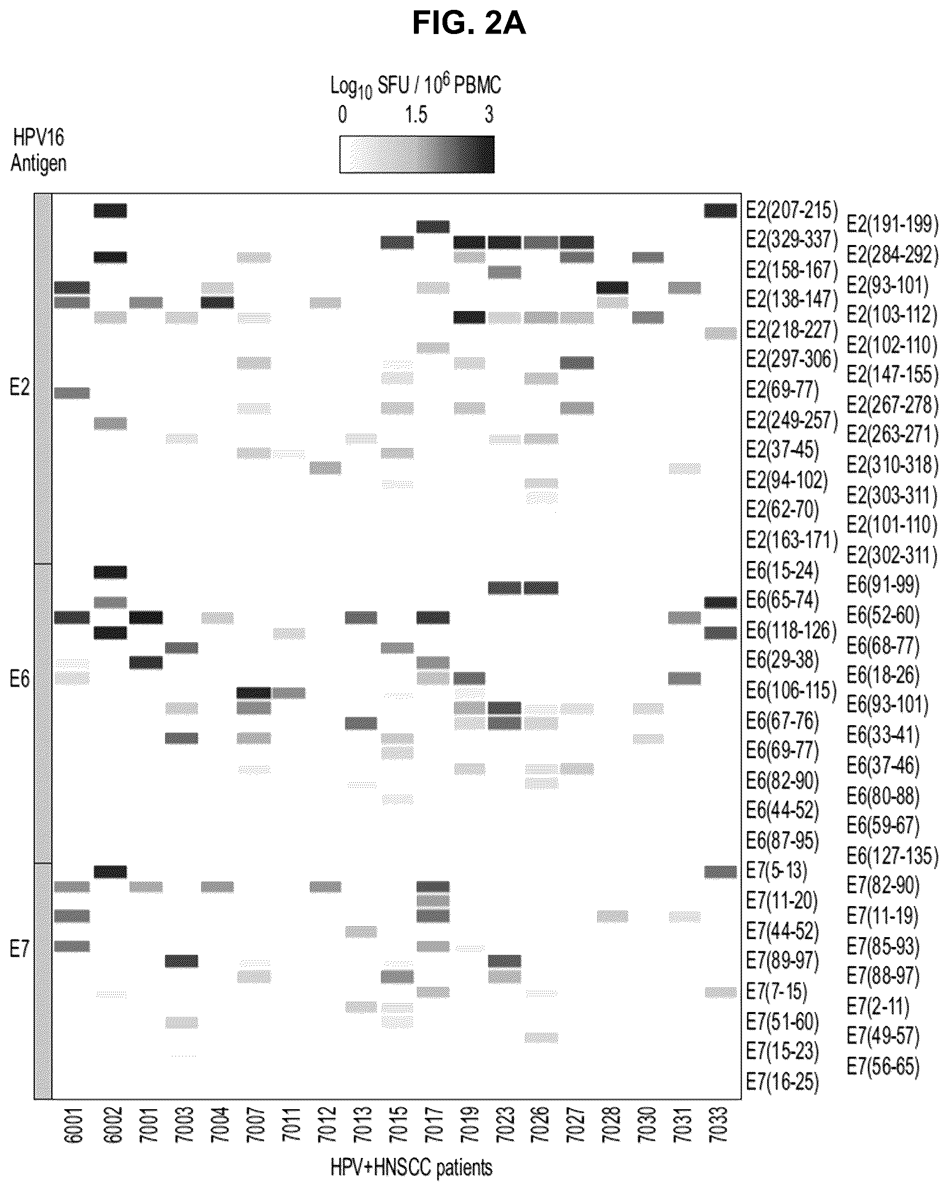 Patent US12551546 Figure 9 – Materials and methods relating to immunogenic epitopes from human papilloma virus