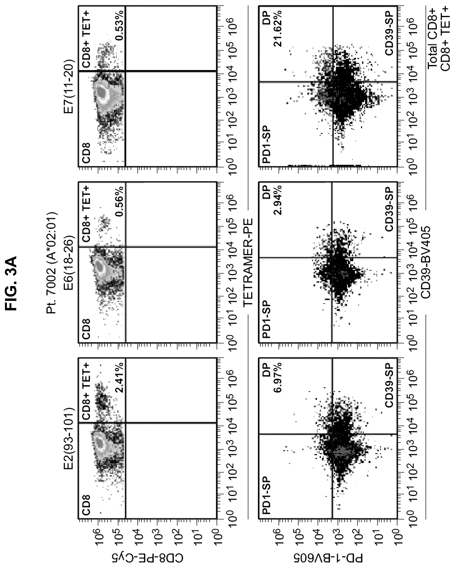 Patent US12551546 Figure 15 – Materials and methods relating to immunogenic epitopes from human papilloma virus