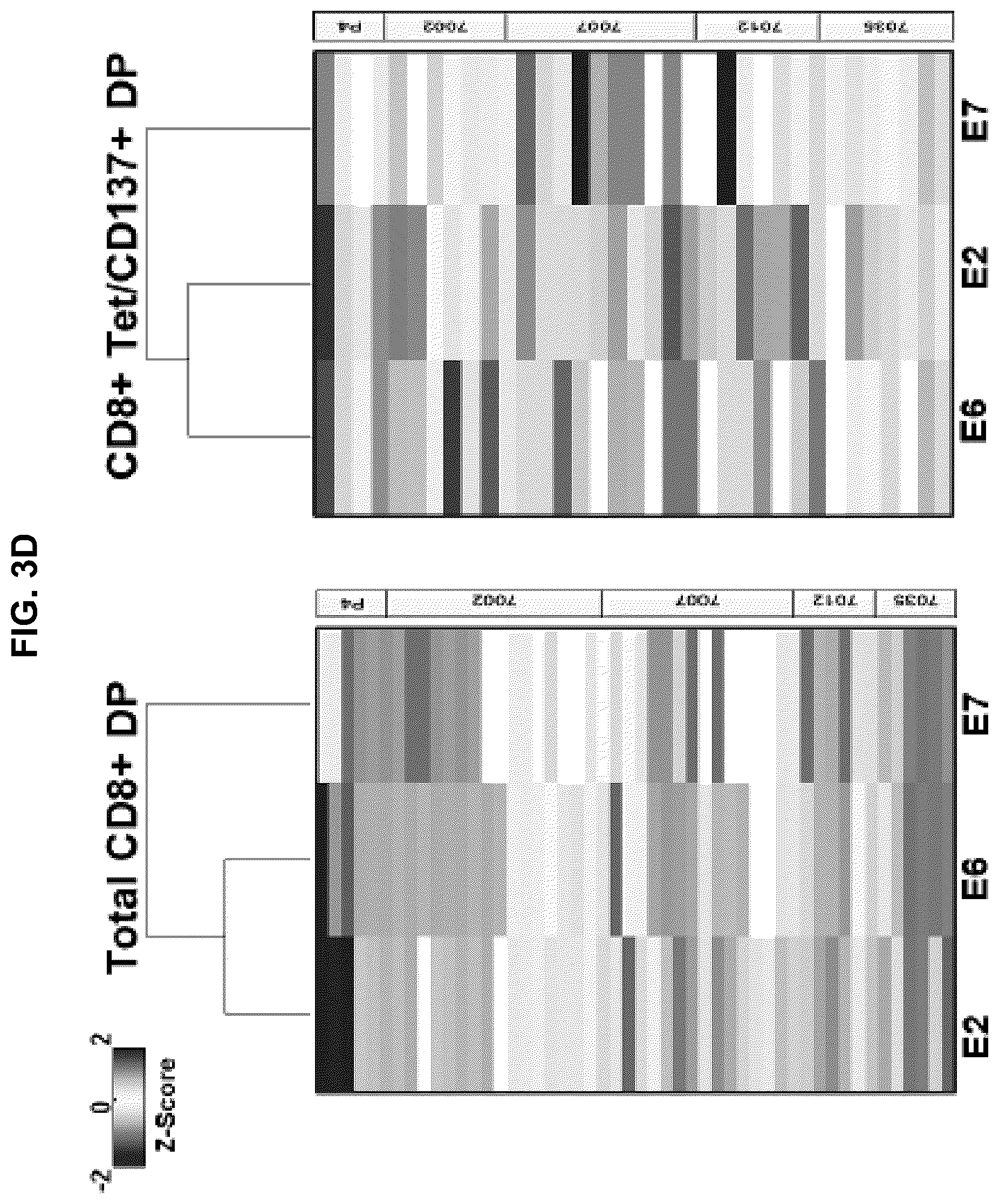 Patent US12551546 Figure 18 – Materials and methods relating to immunogenic epitopes from human papilloma virus