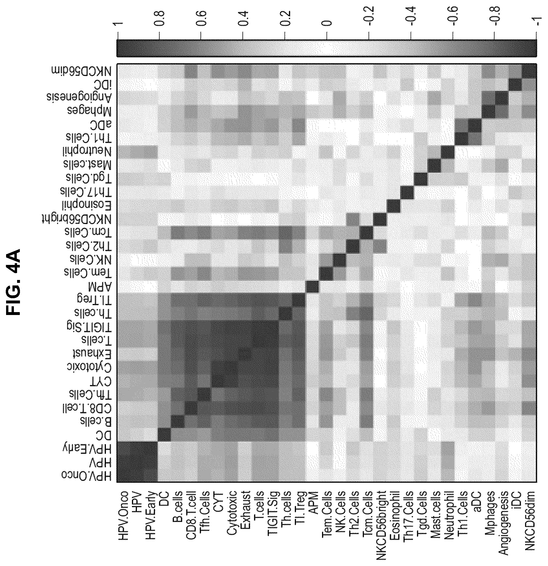 Patent US12551546 Figure 19 – Materials and methods relating to immunogenic epitopes from human papilloma virus