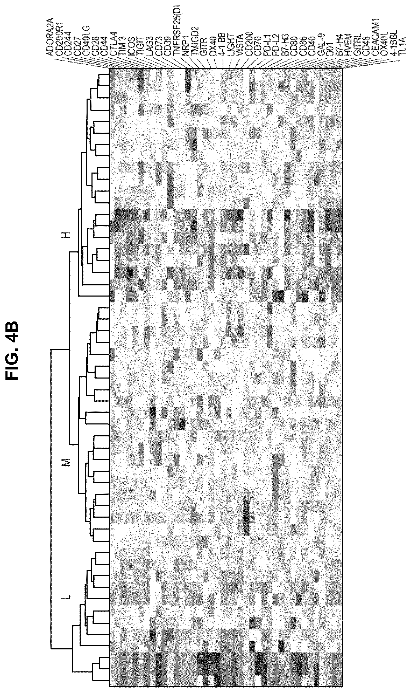 Patent US12551546 Figure 20 – Materials and methods relating to immunogenic epitopes from human papilloma virus
