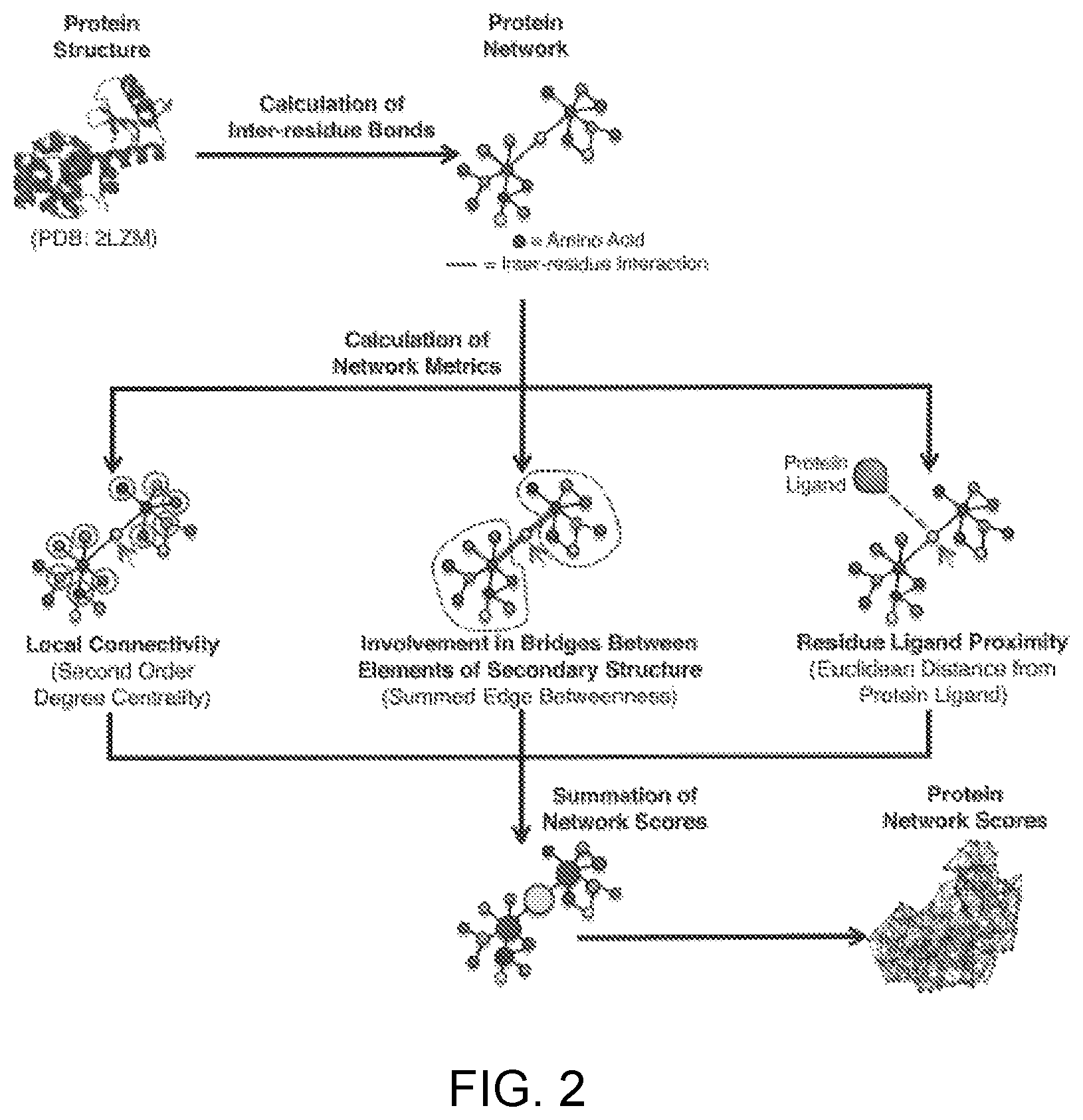 Patent US12551547 Figure 2 – Highly networked immunogen composition