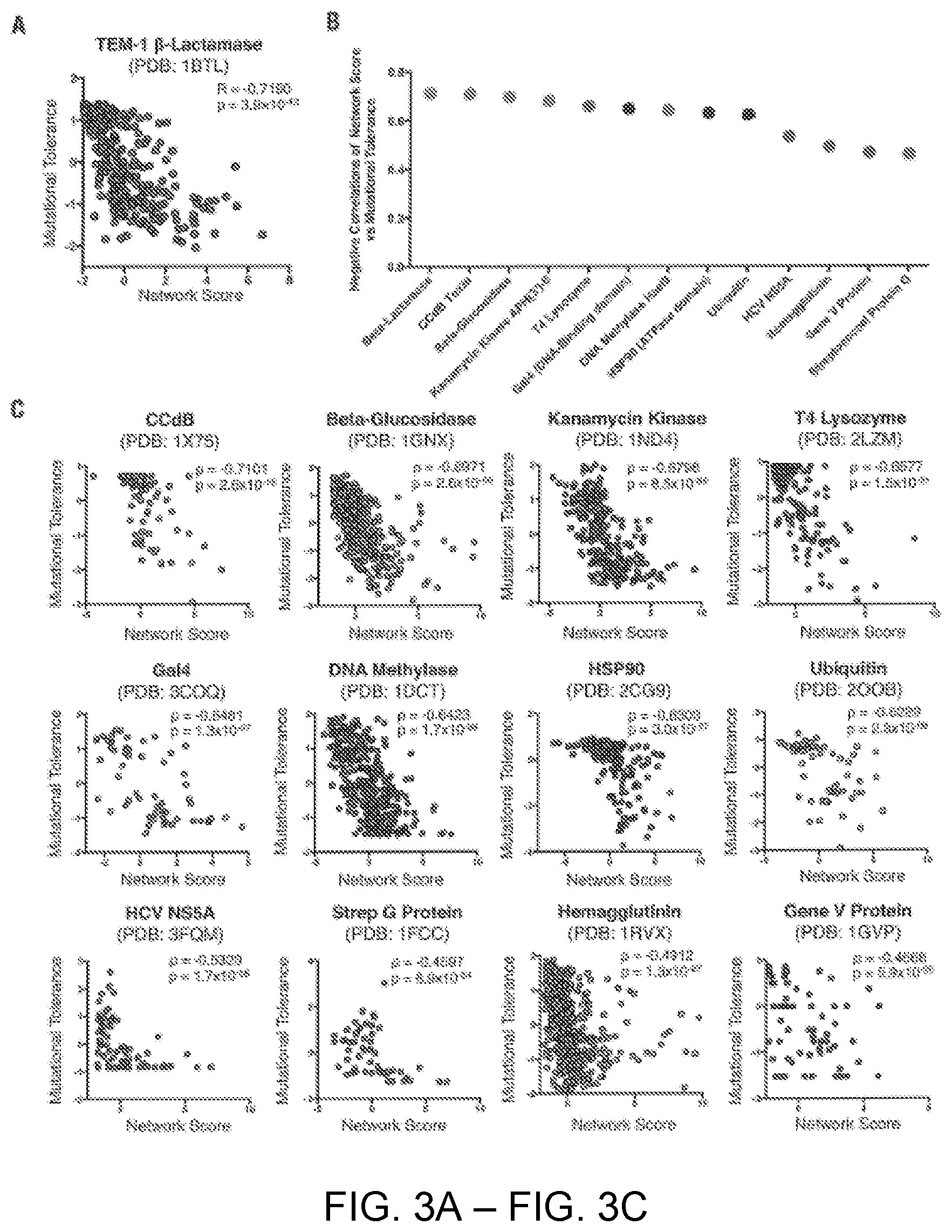 Patent US12551547 Figure 3 – Highly networked immunogen composition
