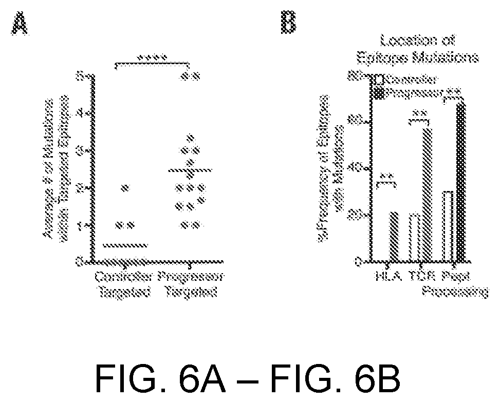 Patent US12551547 Figure 6 – Highly networked immunogen composition