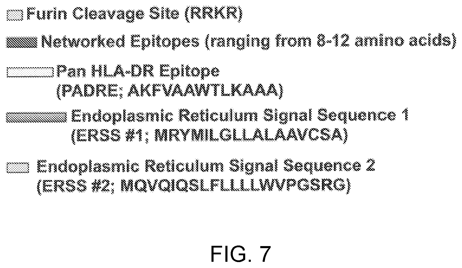 Patent US12551547 Figure 7 – Highly networked immunogen composition