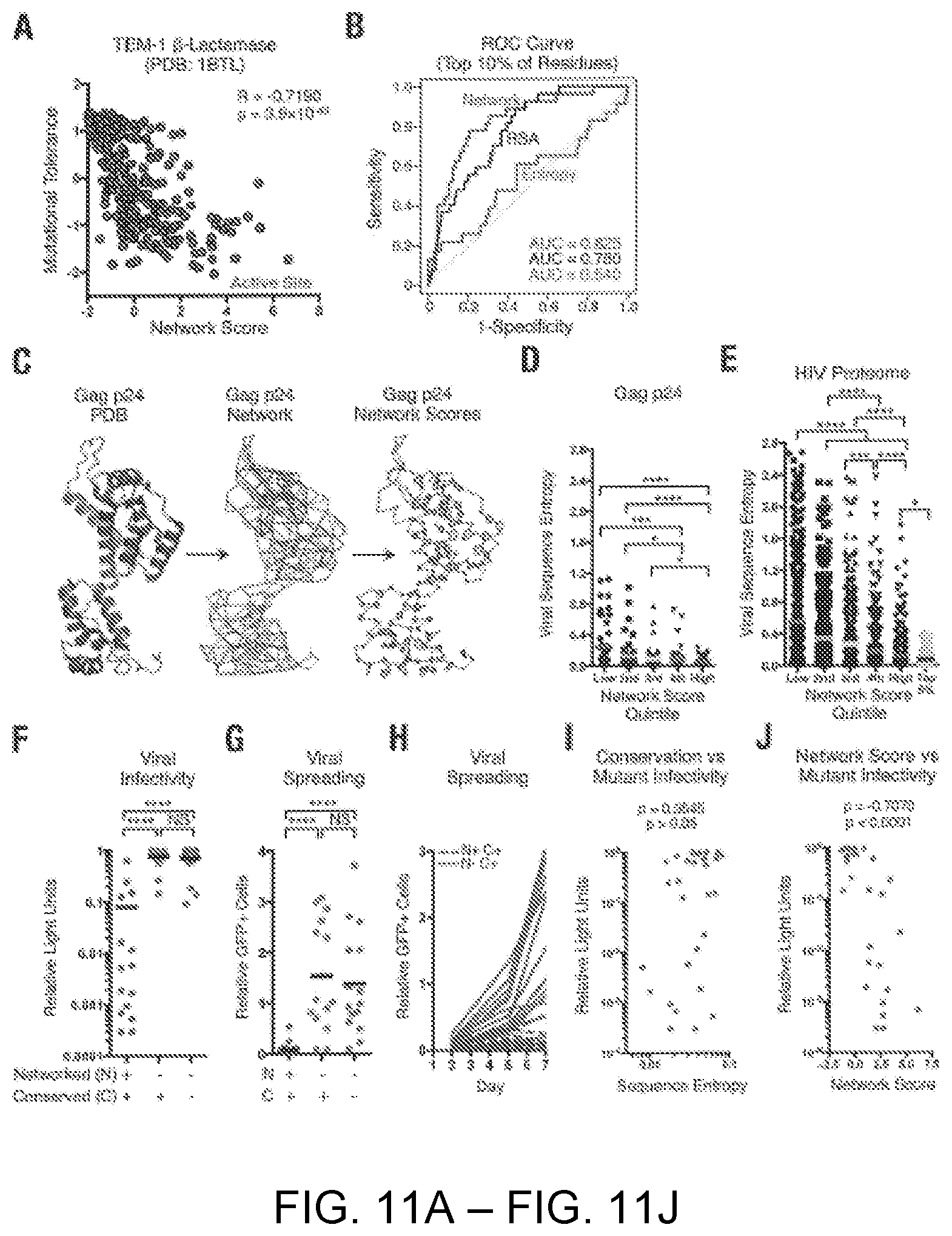 Patent US12551547 Figure 11 – Highly networked immunogen composition