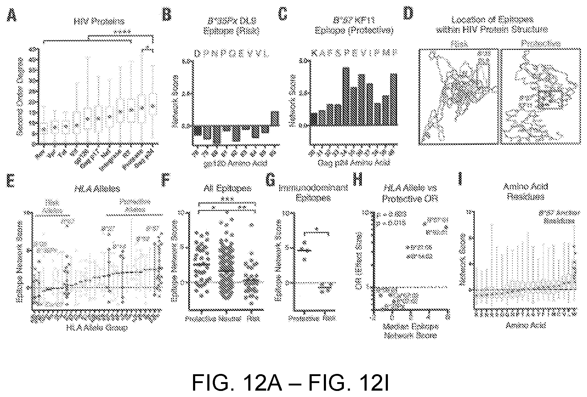 Patent US12551547 Figure 12 – Highly networked immunogen composition
