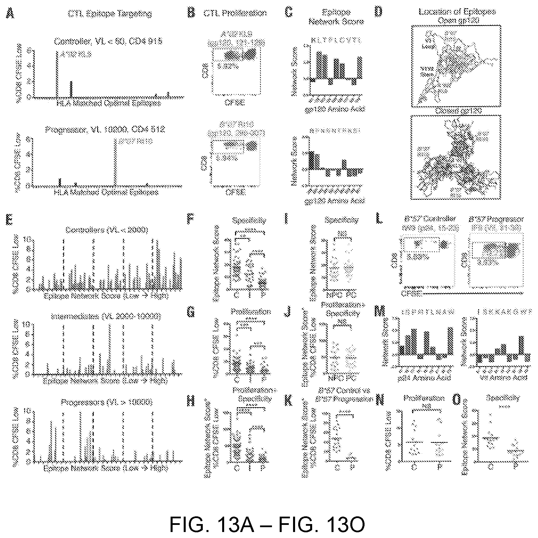 Patent US12551547 Figure 13 – Highly networked immunogen composition