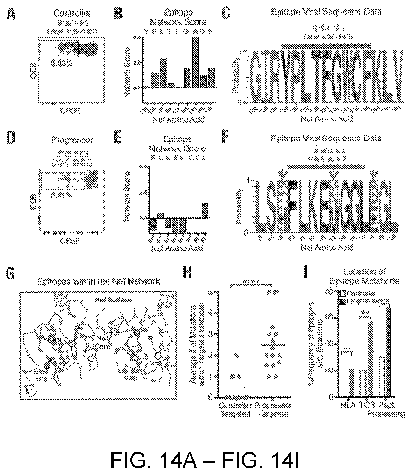 Patent US12551547 Figure 14 – Highly networked immunogen composition