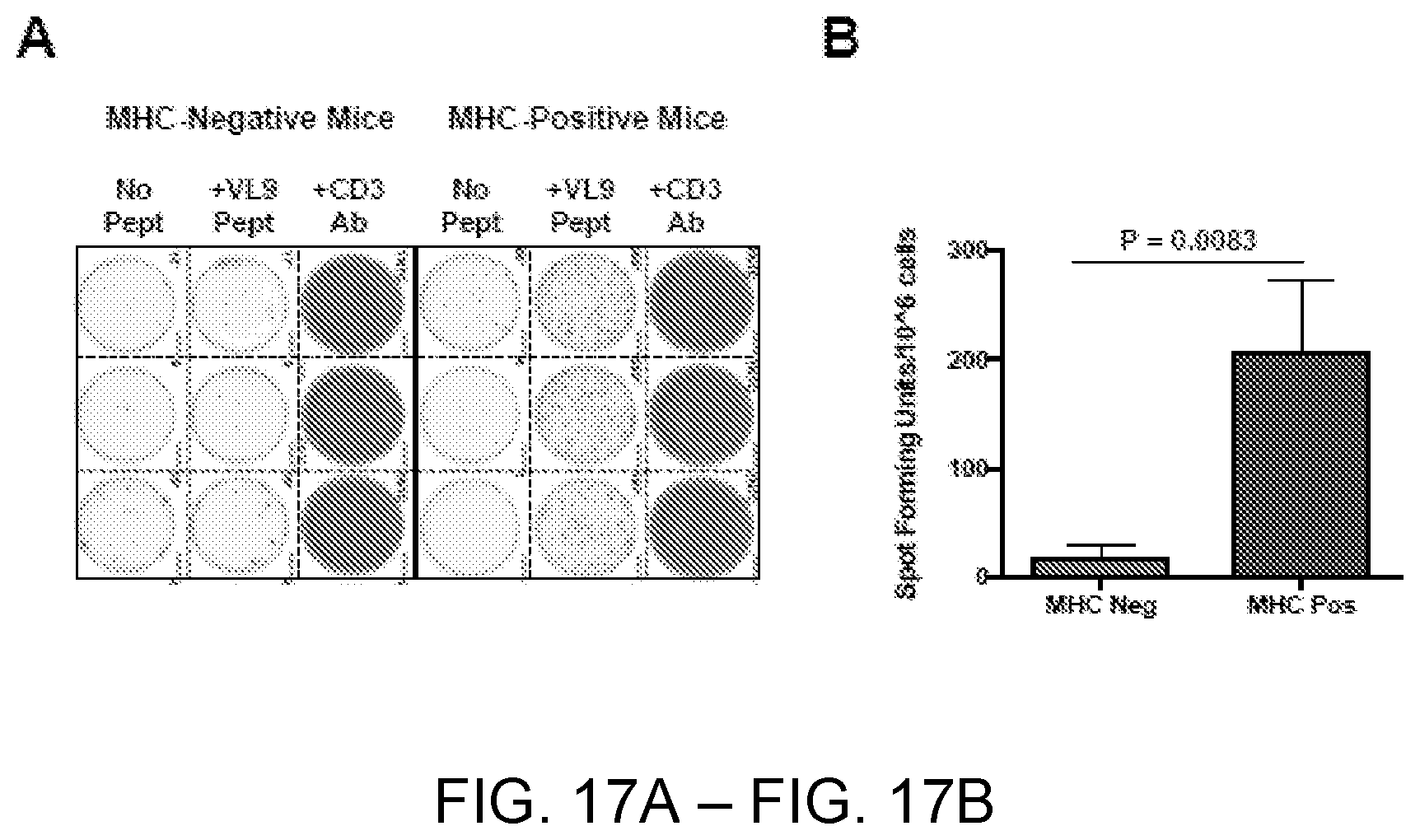 Patent US12551547 Figure 17 – Highly networked immunogen composition